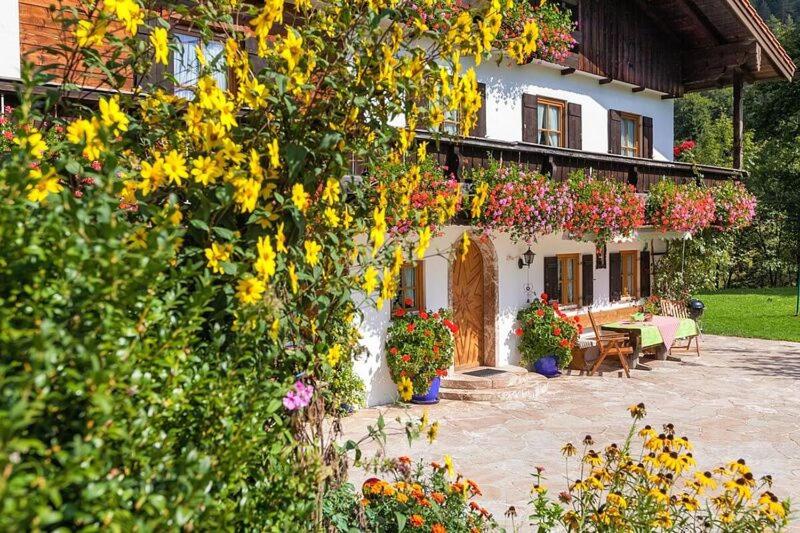 Hartlerlehen Rasp view 3