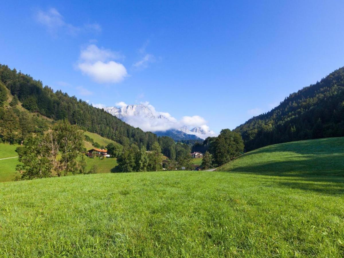 Hartlerlehen Rasp view 5