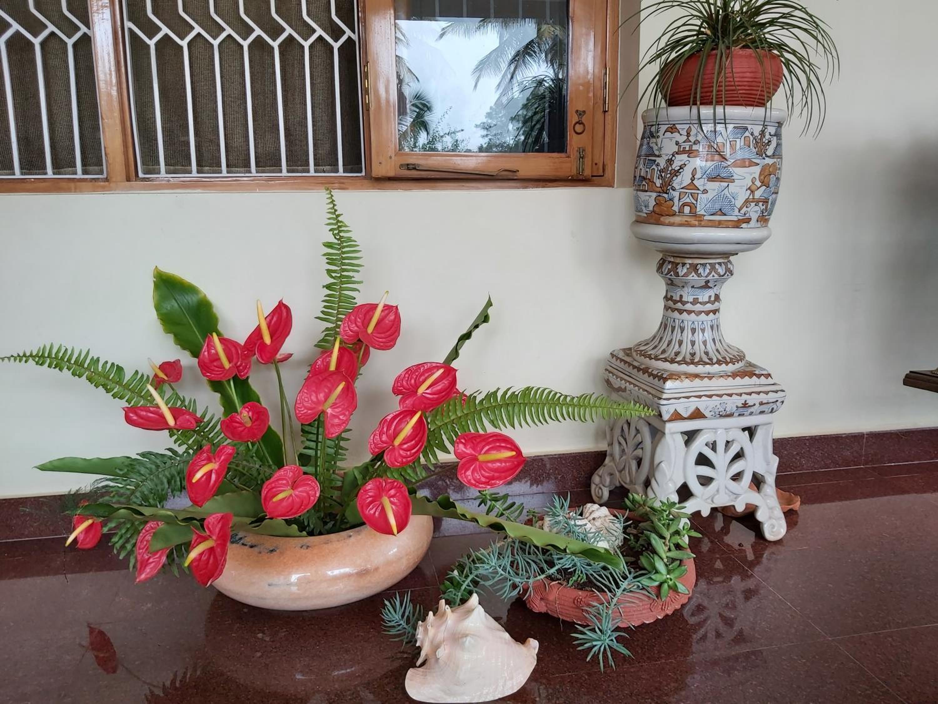 Tarana Homestay