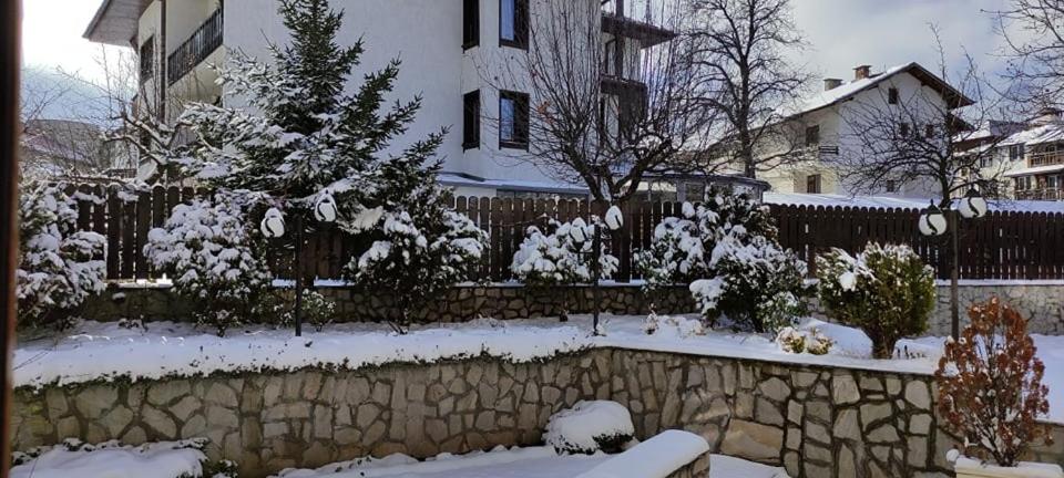 Guest House Ela