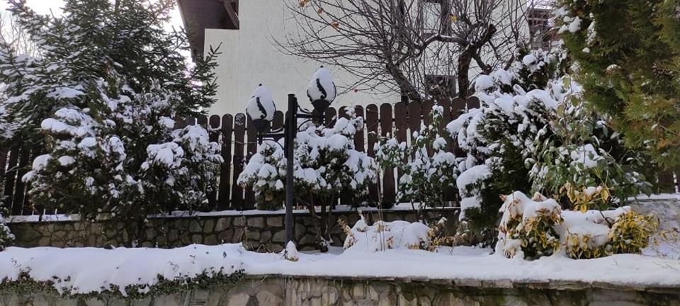 Guest House Ela