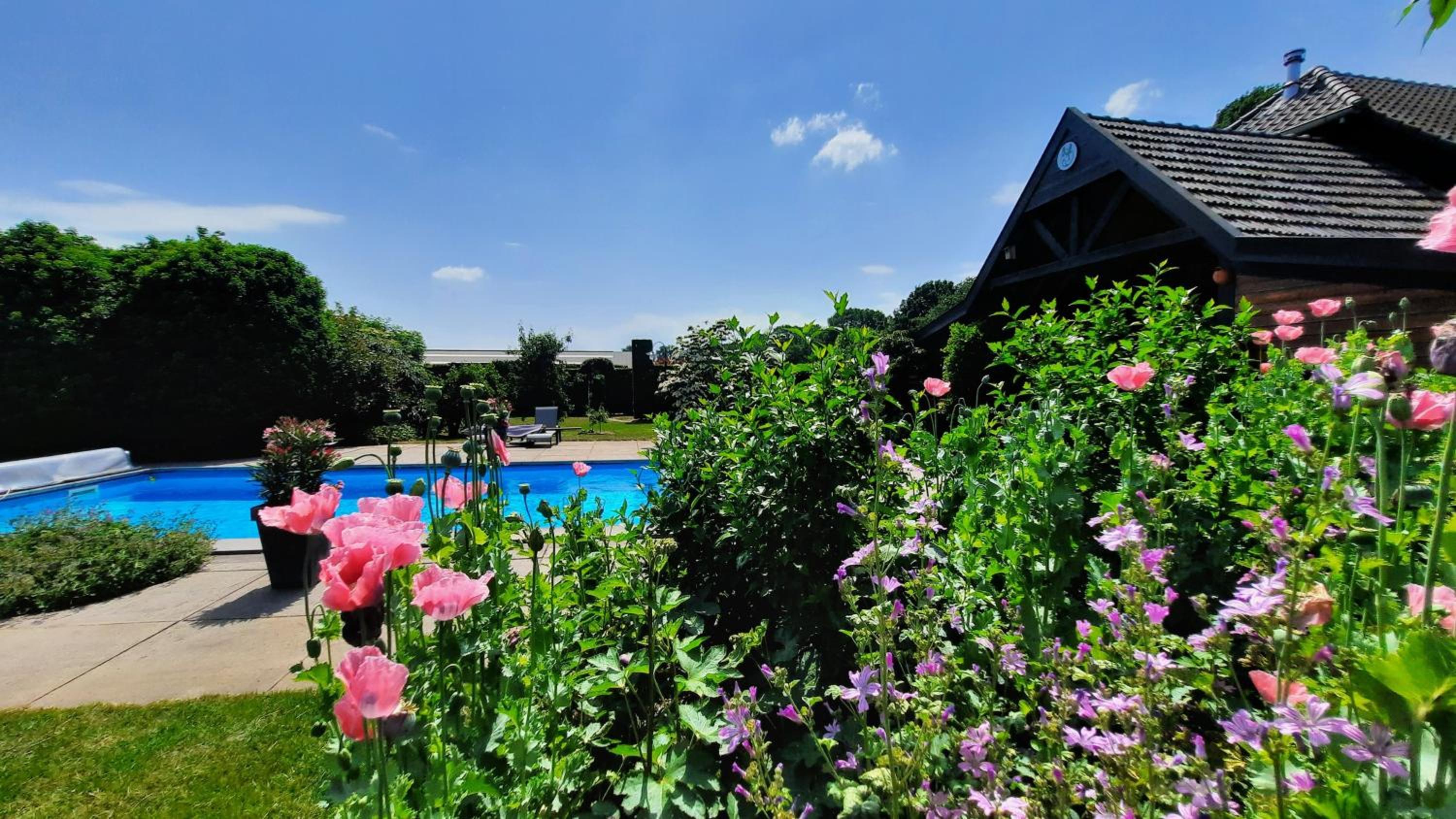 Bed & Breakfast De Stippelberg view 4