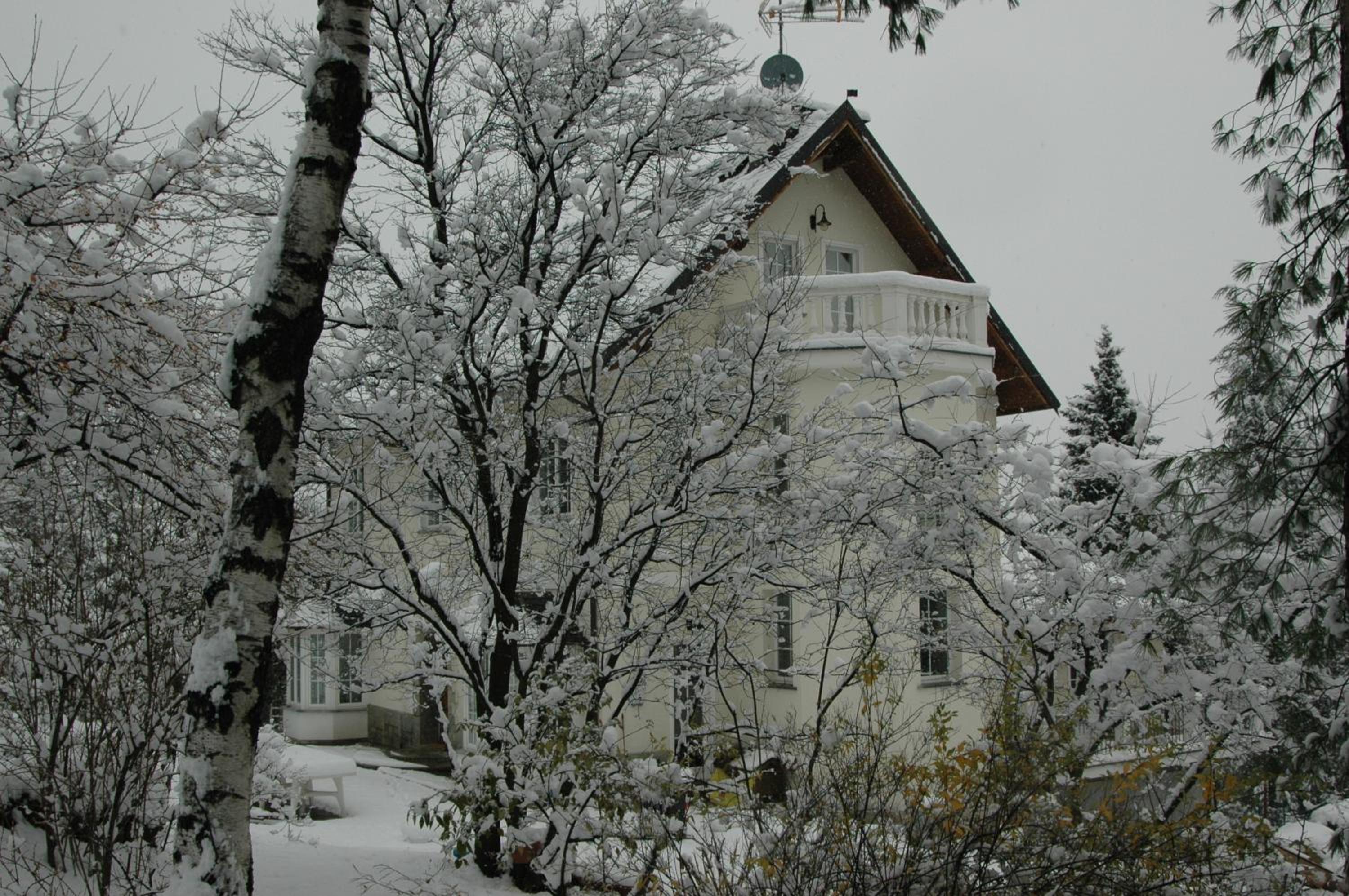 Photo 24