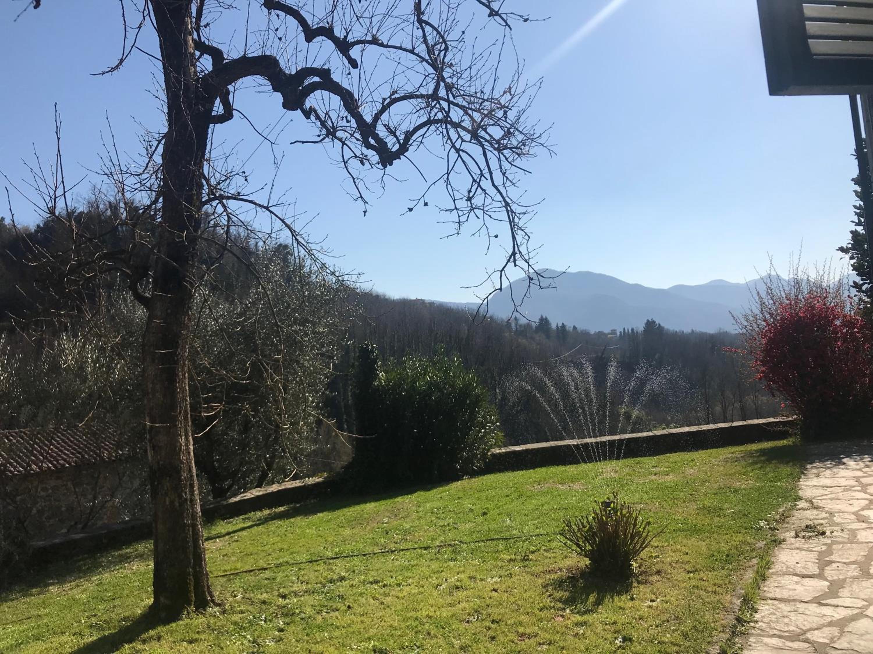 La Limonaia di Casagrande photo 5