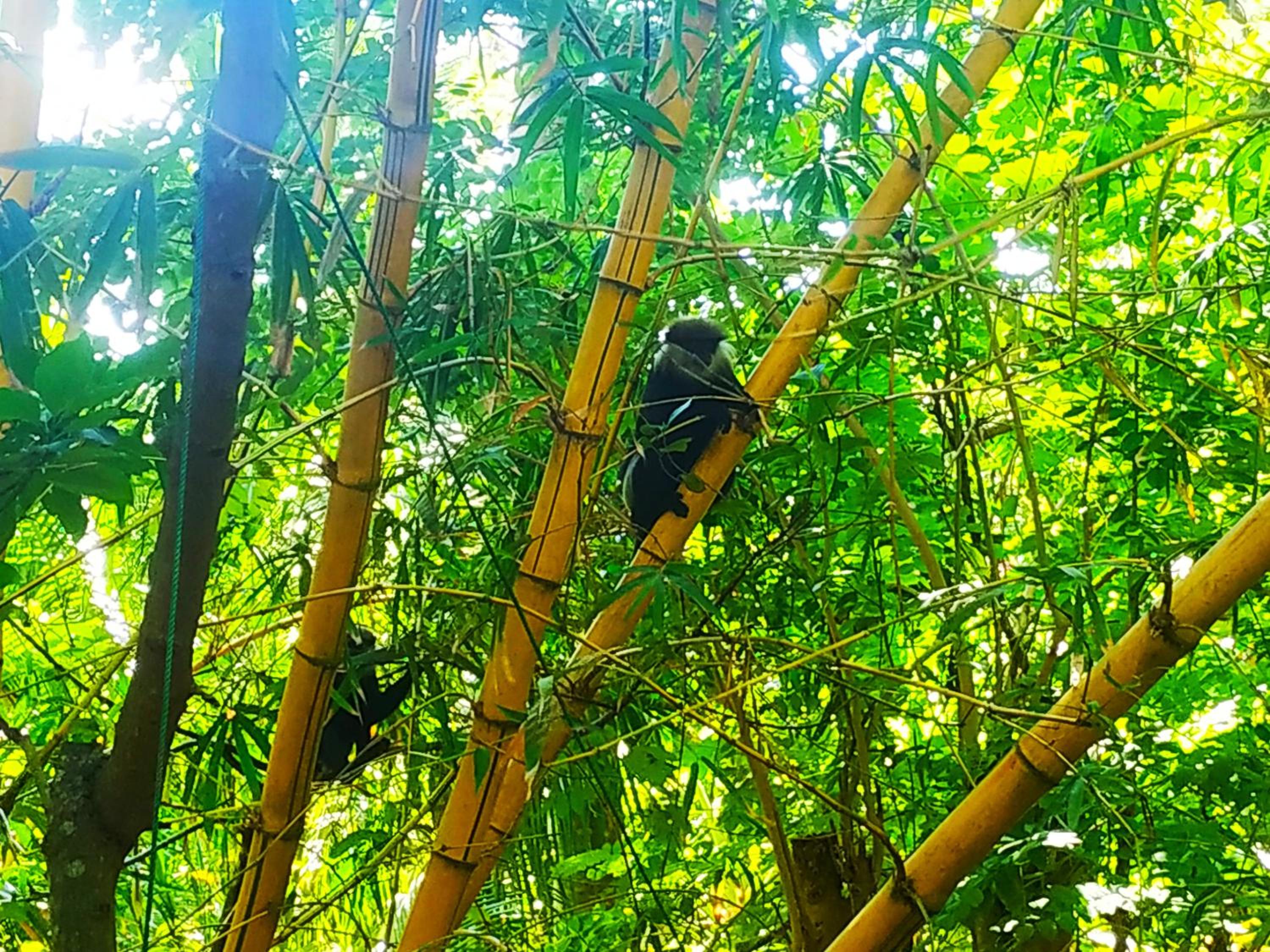 Aluthgedara Guest House