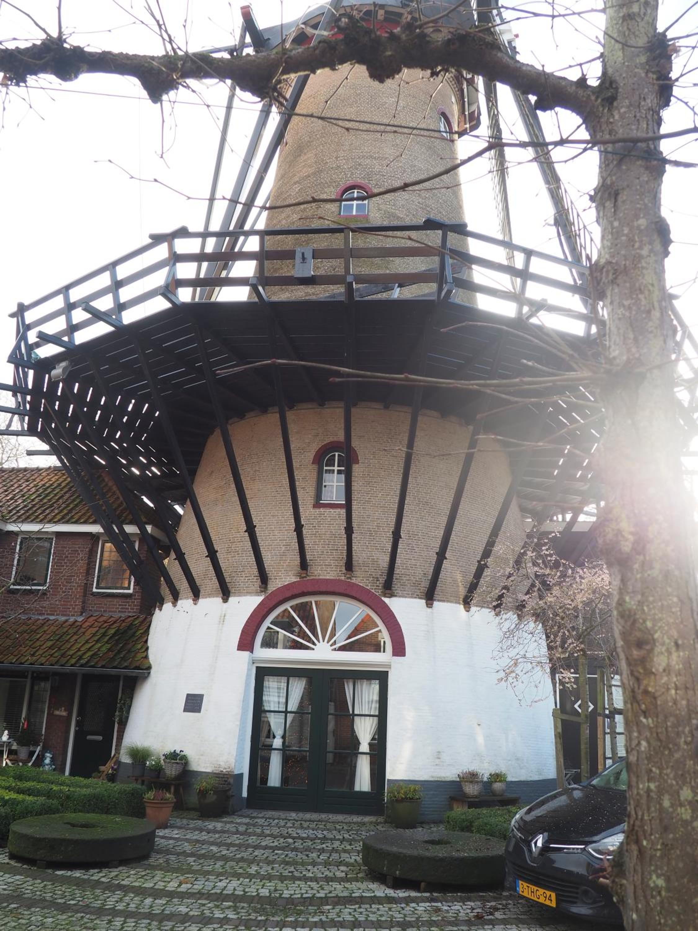 Photo 25