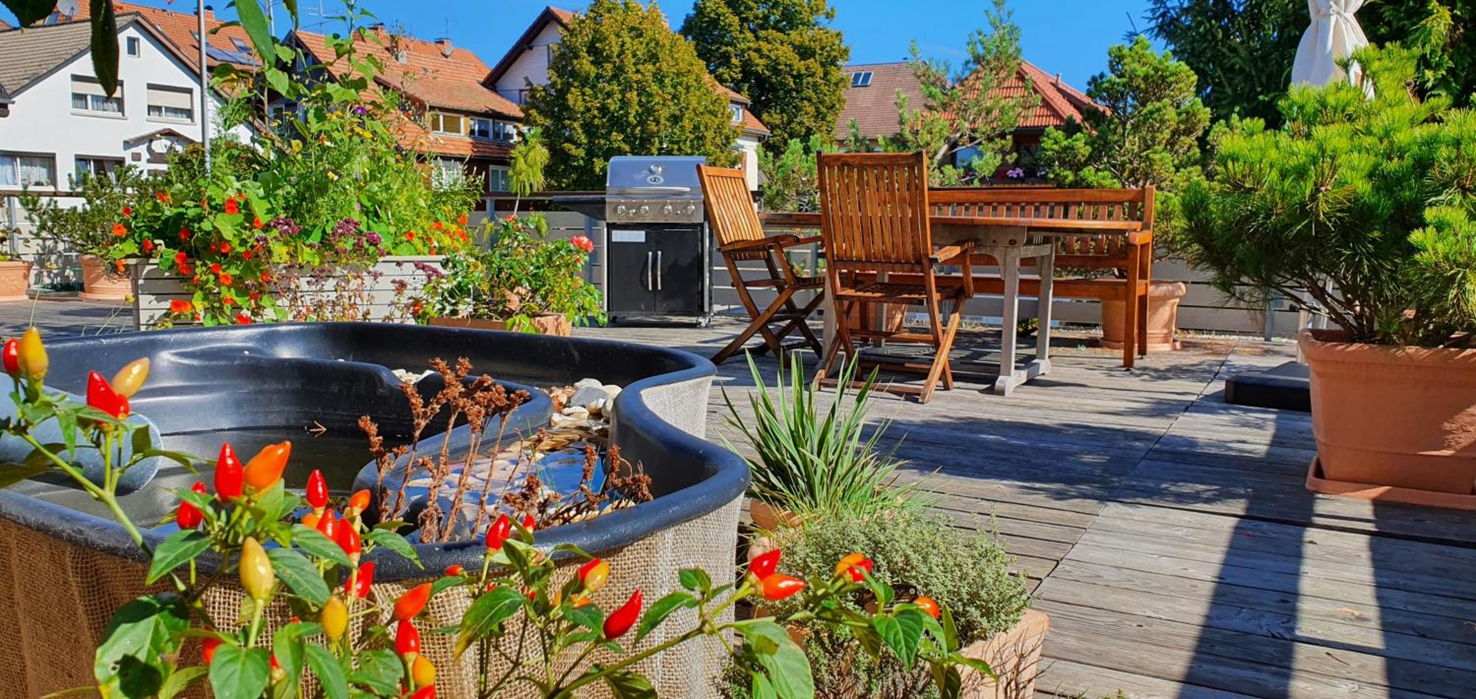 balance & terrace