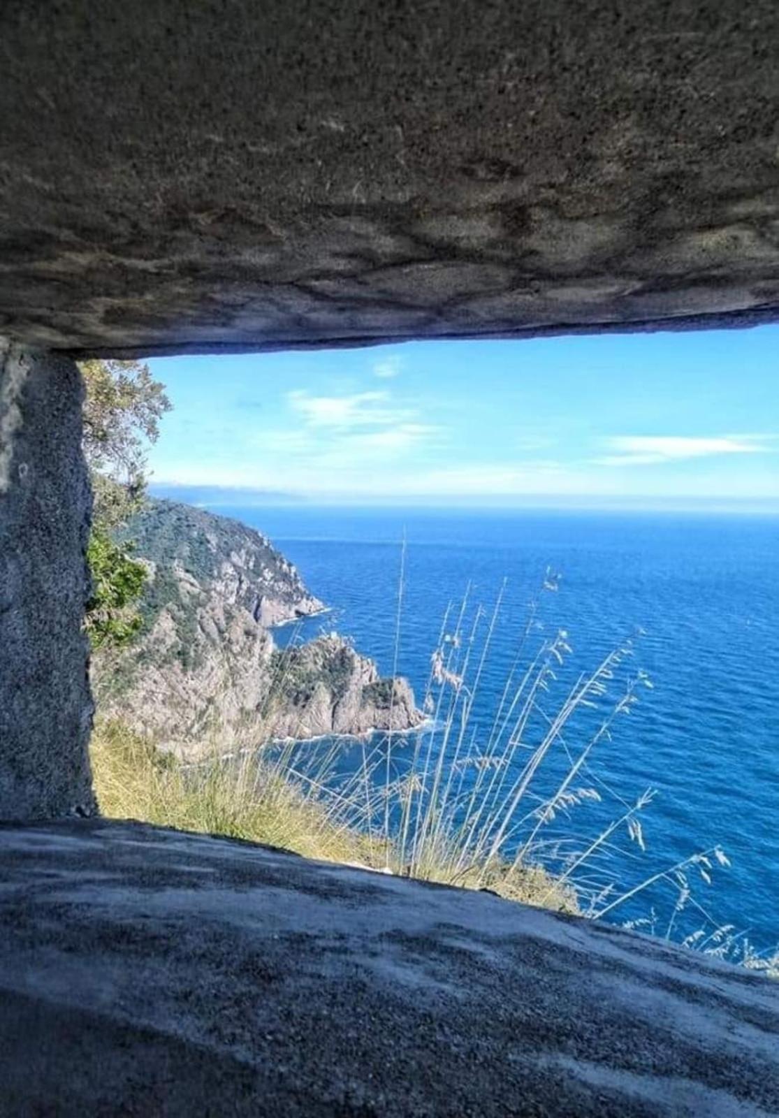 Rosablu vacanza tra mare e Parco di Portofino photo 5