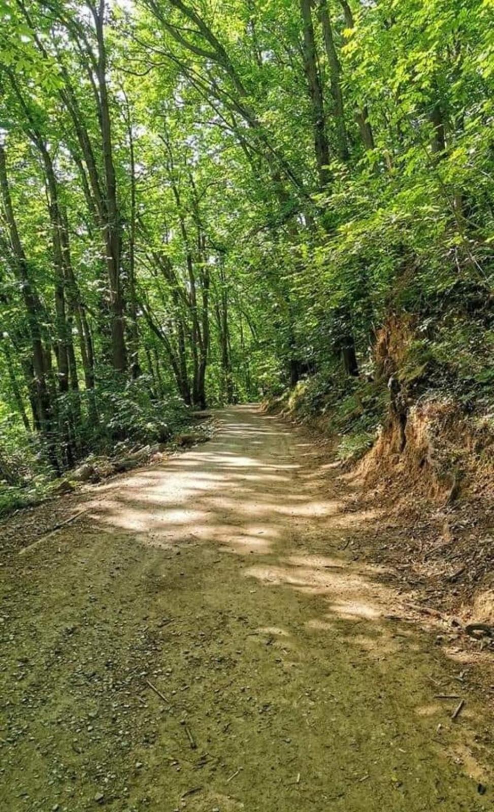 Rosablu vacanza tra mare e Parco di Portofino