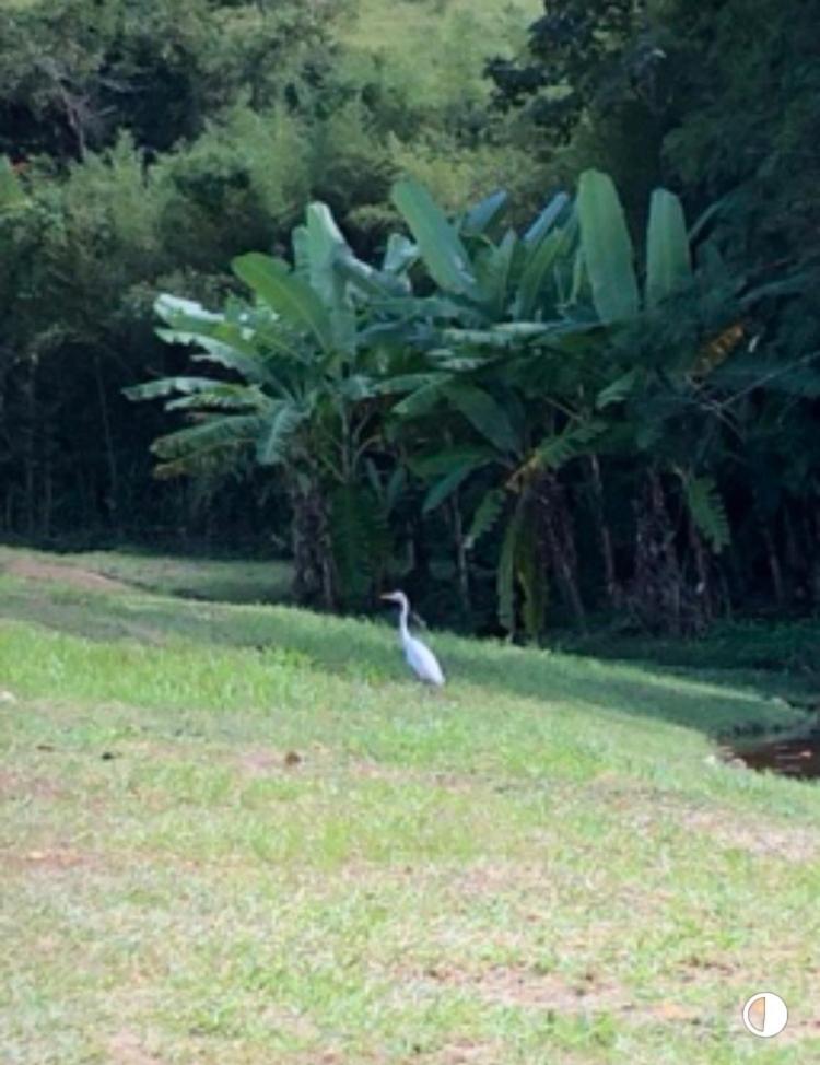 Vivenda dos Guaranys -Um projeto ecológico - Casa