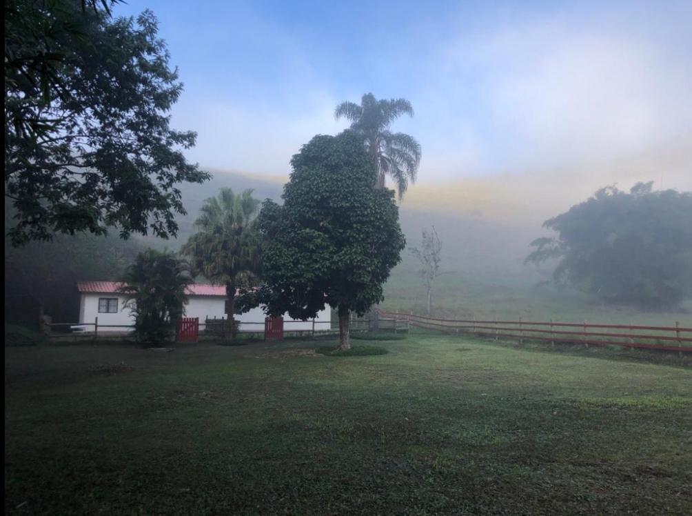 Vivenda dos Guaranys -Um projeto ecológico - Casa