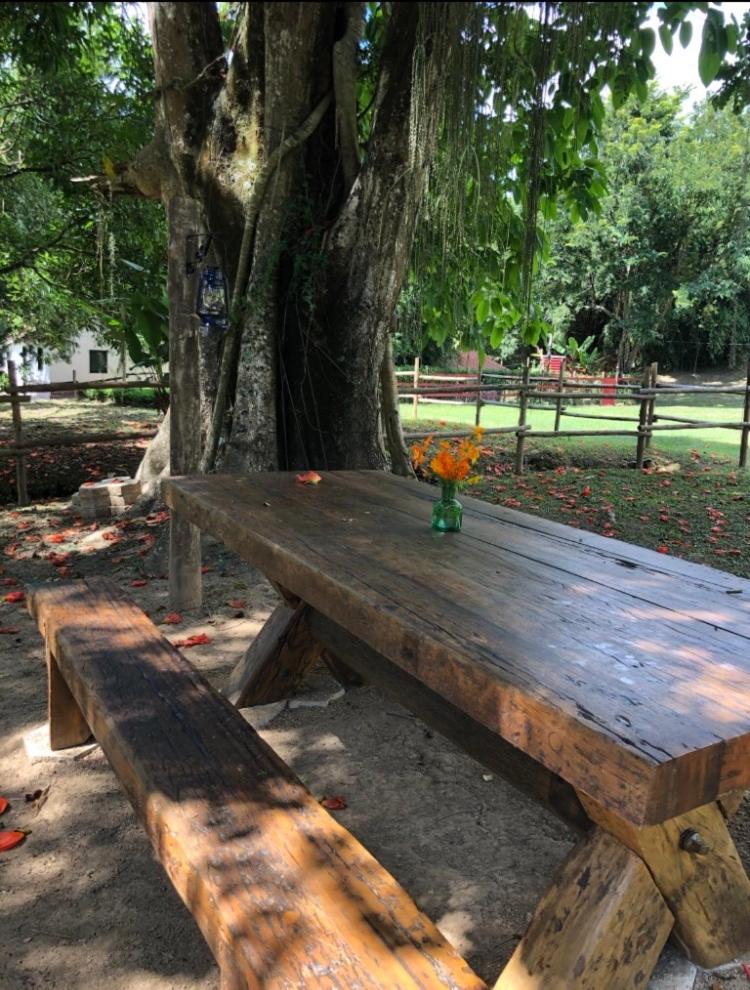 Vivenda dos Guaranys -Um projeto ecológico - Casa