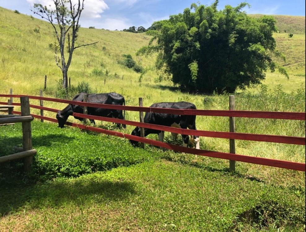 Vivenda dos Guaranys -Um projeto ecológico - Casa
