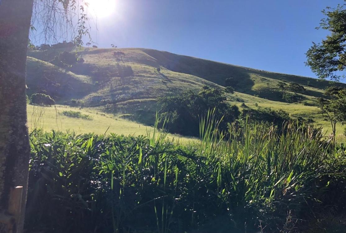 Vivenda dos Guaranys -Um projeto ecológico - Casa