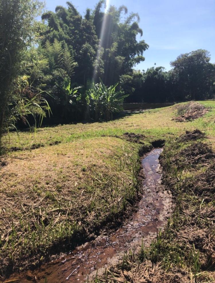 Vivenda dos Guaranys -Um projeto ecológico - Casa