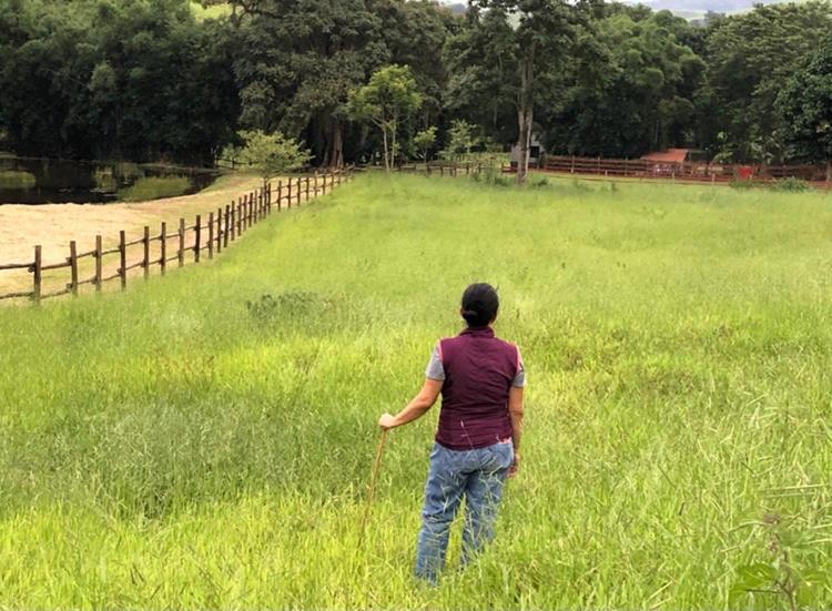 Vivenda dos Guaranys -Um projeto ecológico - Casa