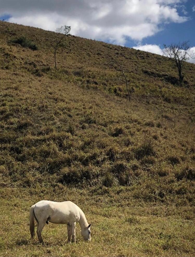 Vivenda dos Guaranys -Um projeto ecológico - Casa