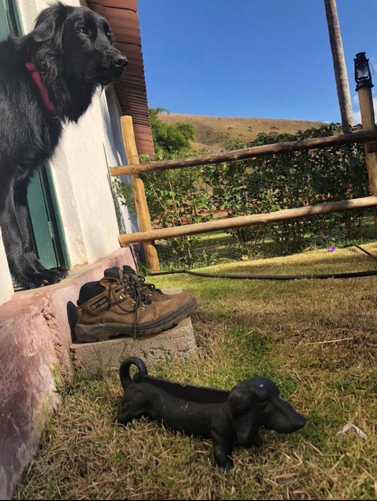 Vivenda dos Guaranys -Um projeto ecológico - Casa