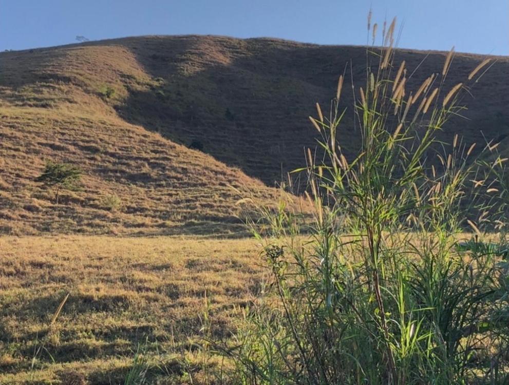 Vivenda dos Guaranys -Um projeto ecológico - Casa