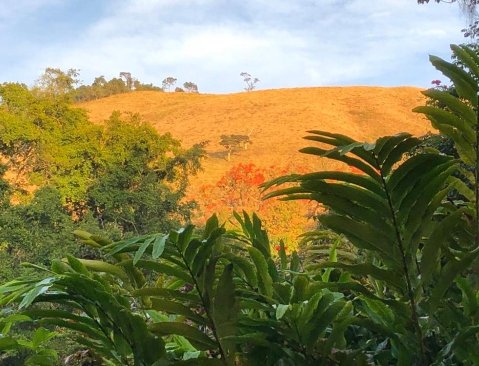 Vivenda dos Guaranys -Um projeto ecológico - Casa