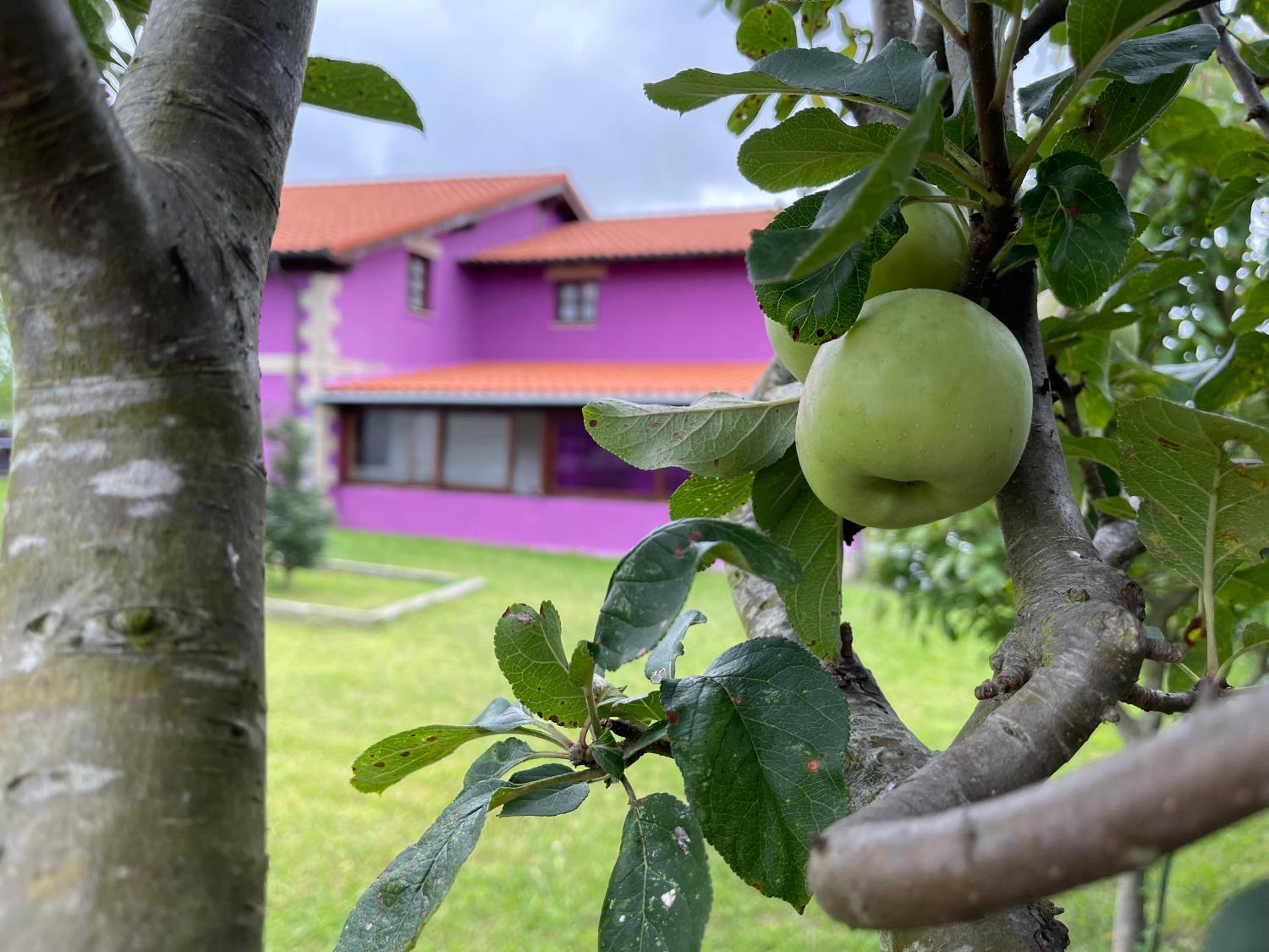 La Casa de Noelia