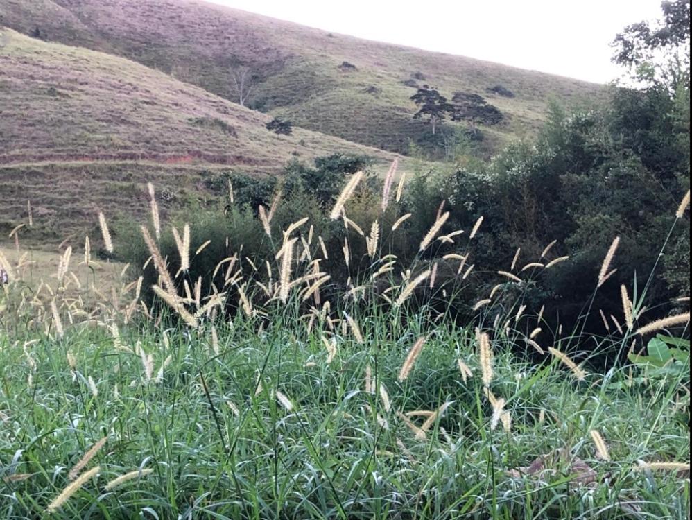 Vivenda dos Guaranys -Um projeto ecológico - Casa