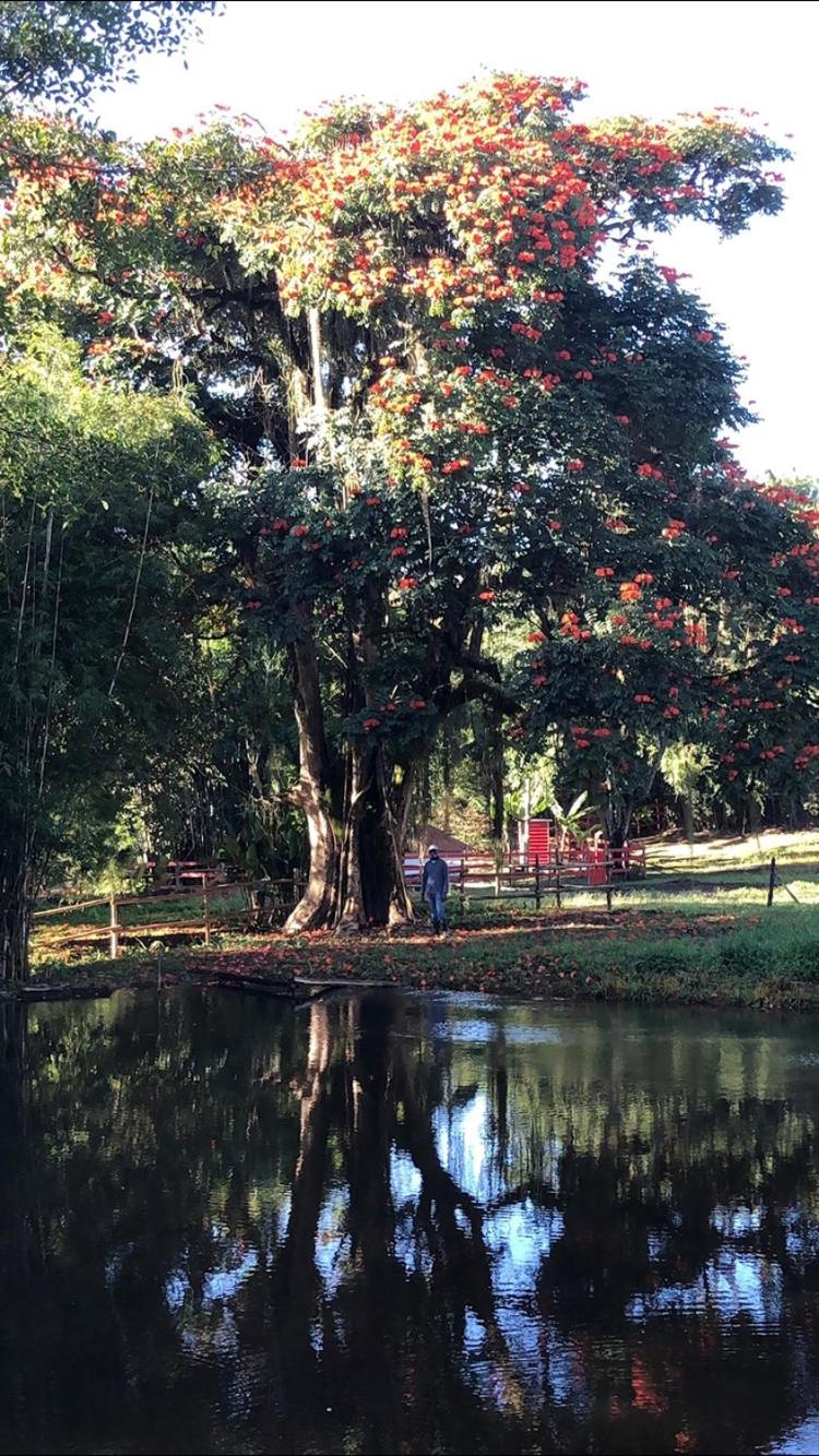 Vivenda dos Guaranys -Um projeto ecológico - Casa