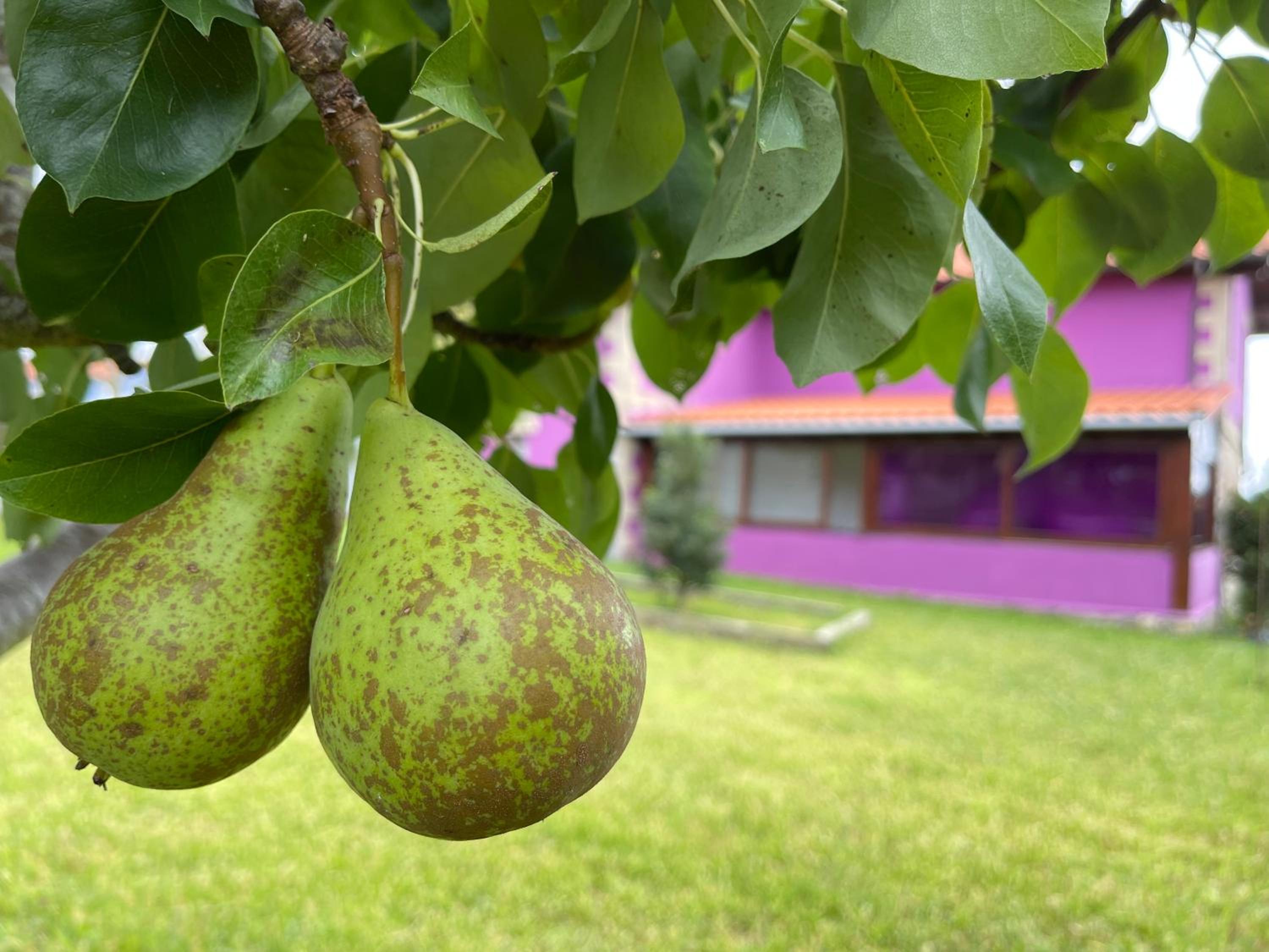 La Casa de Noelia