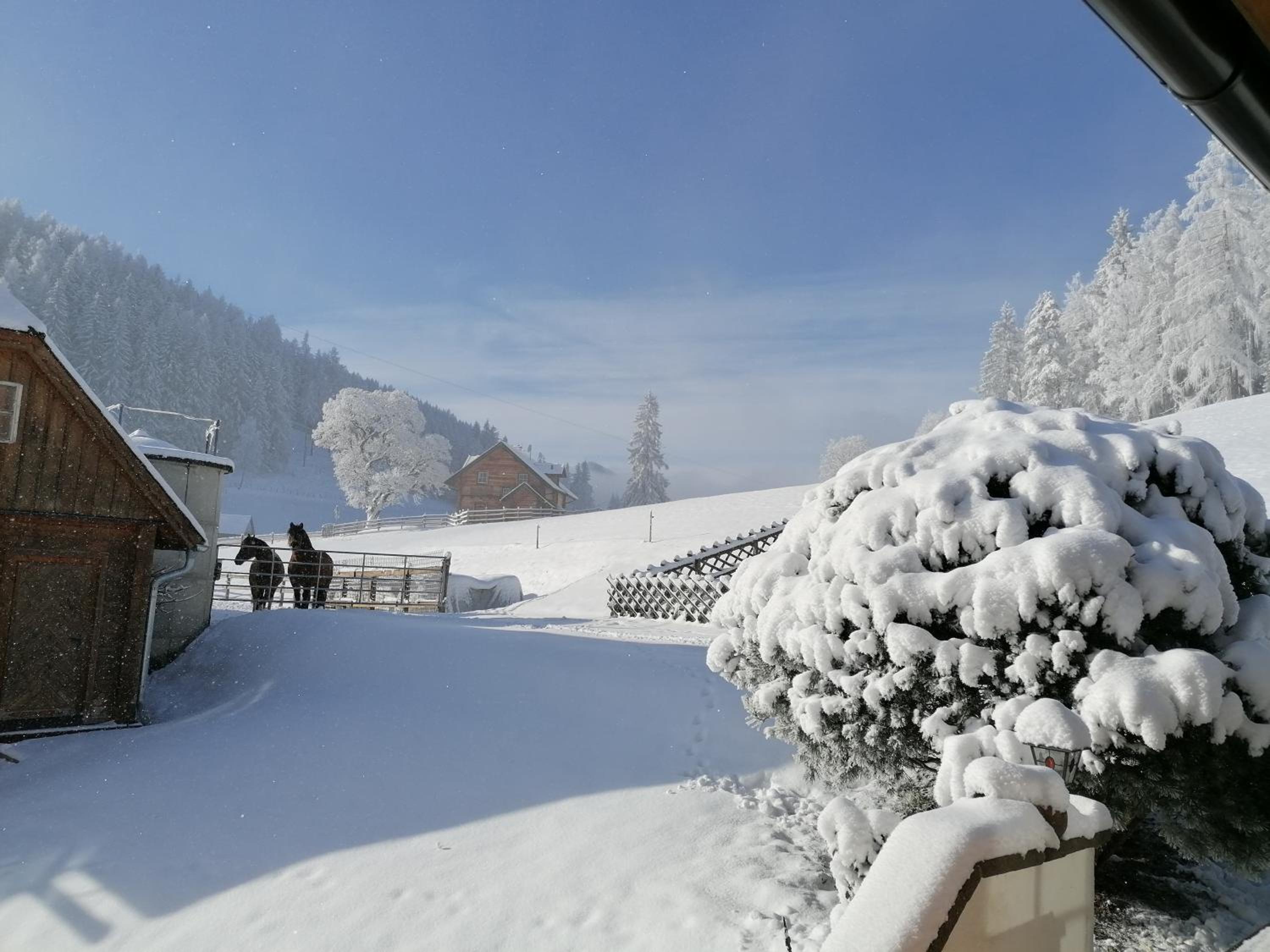 Ferienhaus Bichlhütte