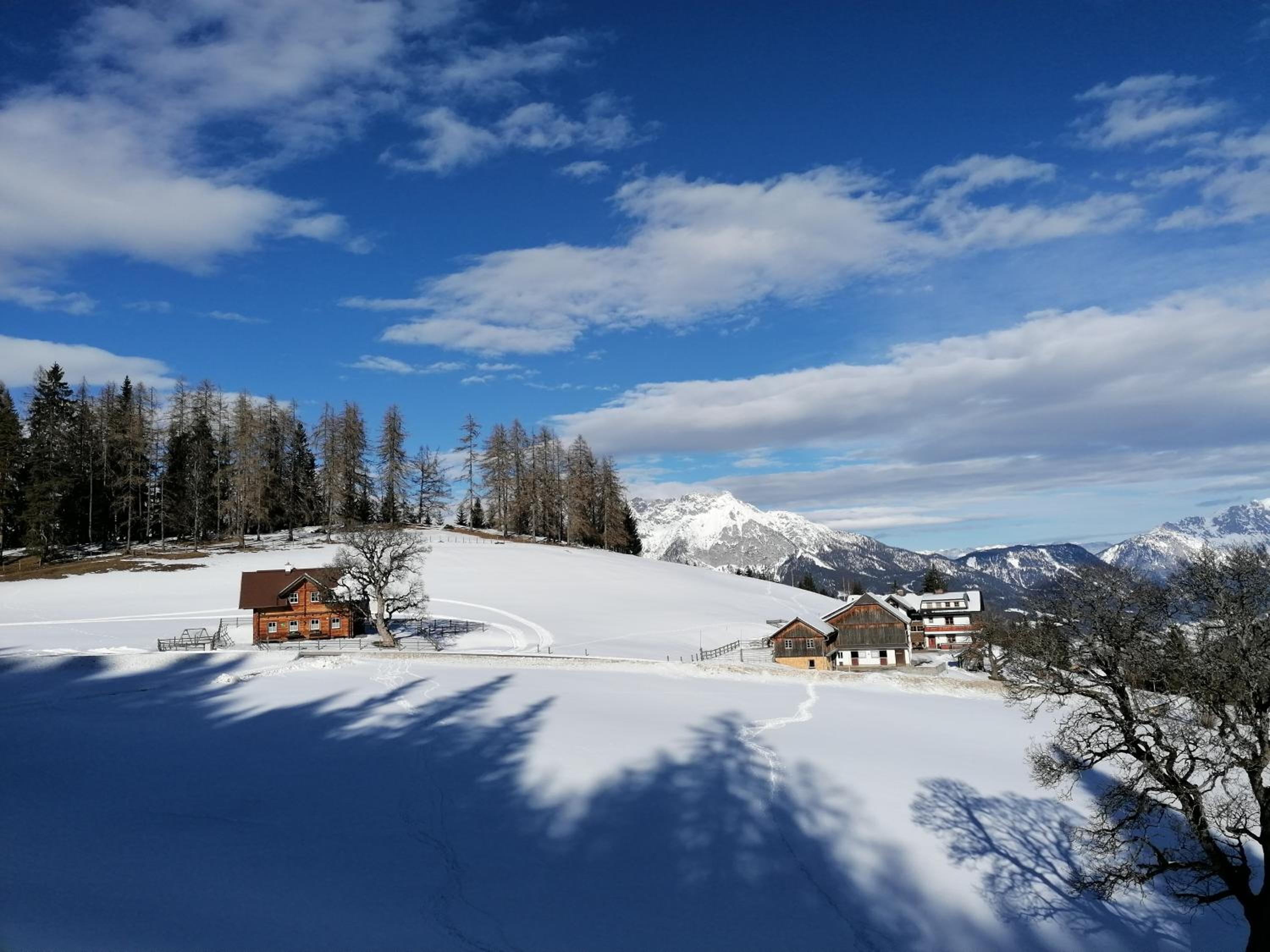 Ferienhaus Bichlhütte