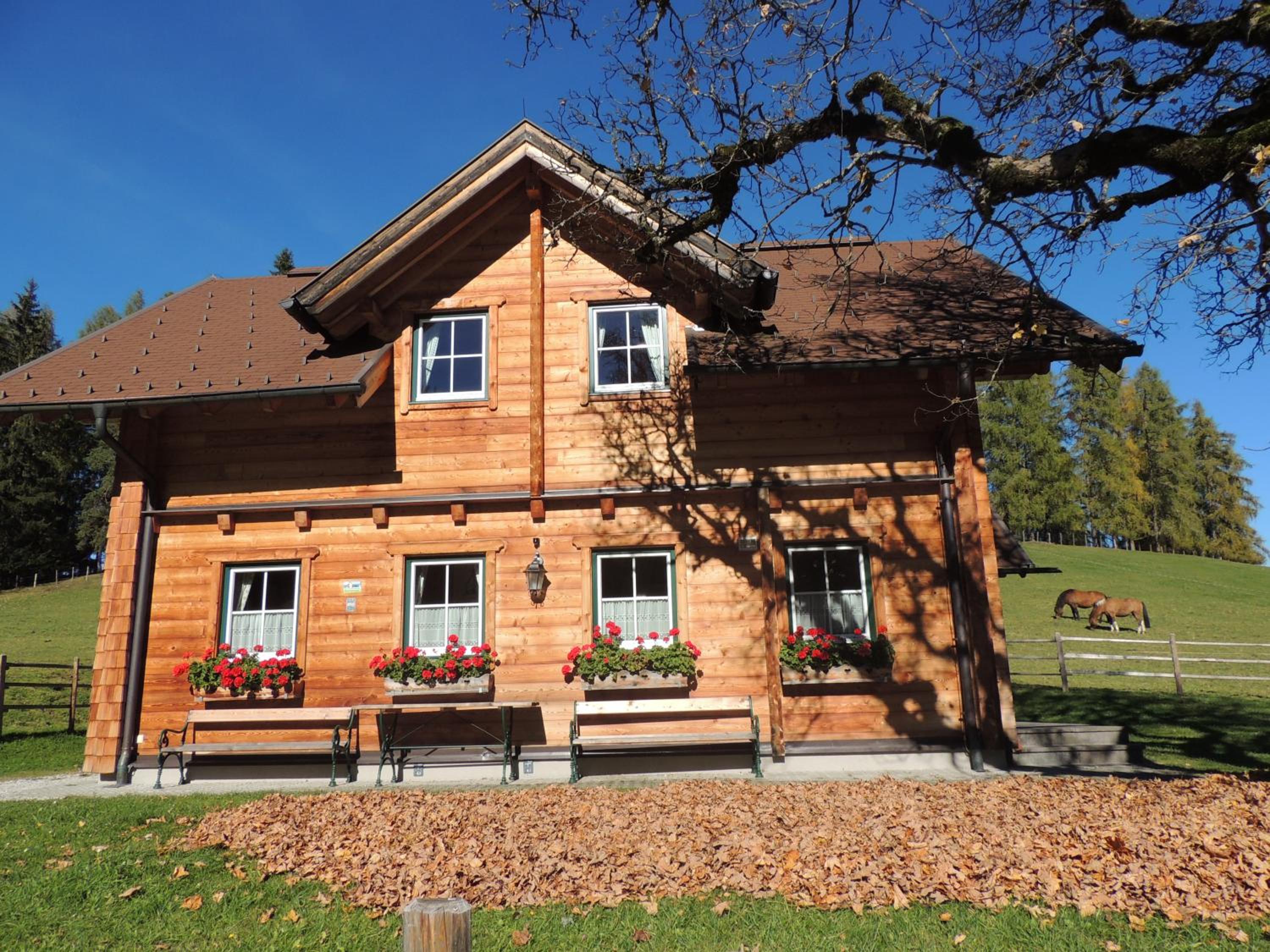 Ferienhaus Bichlhütte