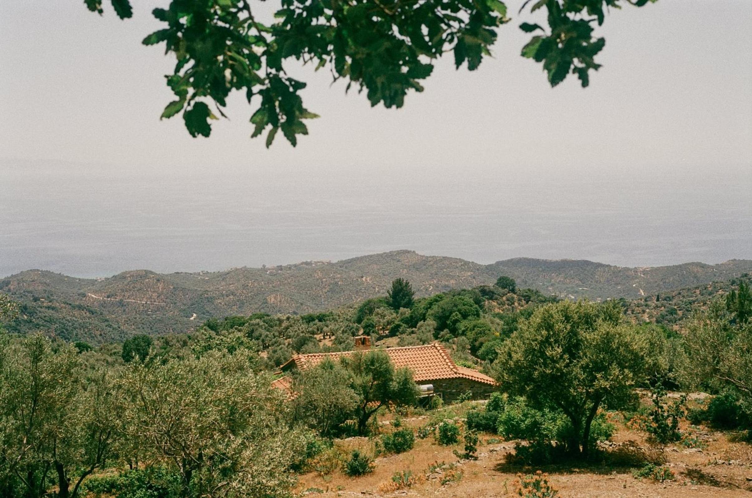 Toumba Eco Farm Guesthouses