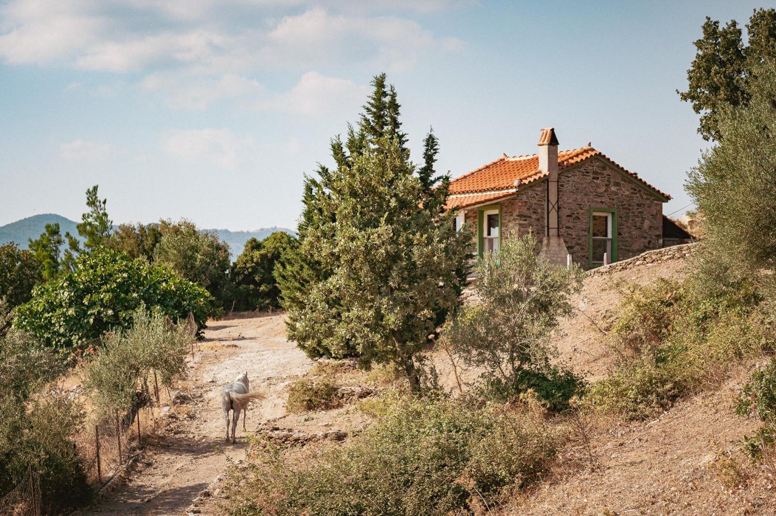 Toumba Eco Farm Guesthouses