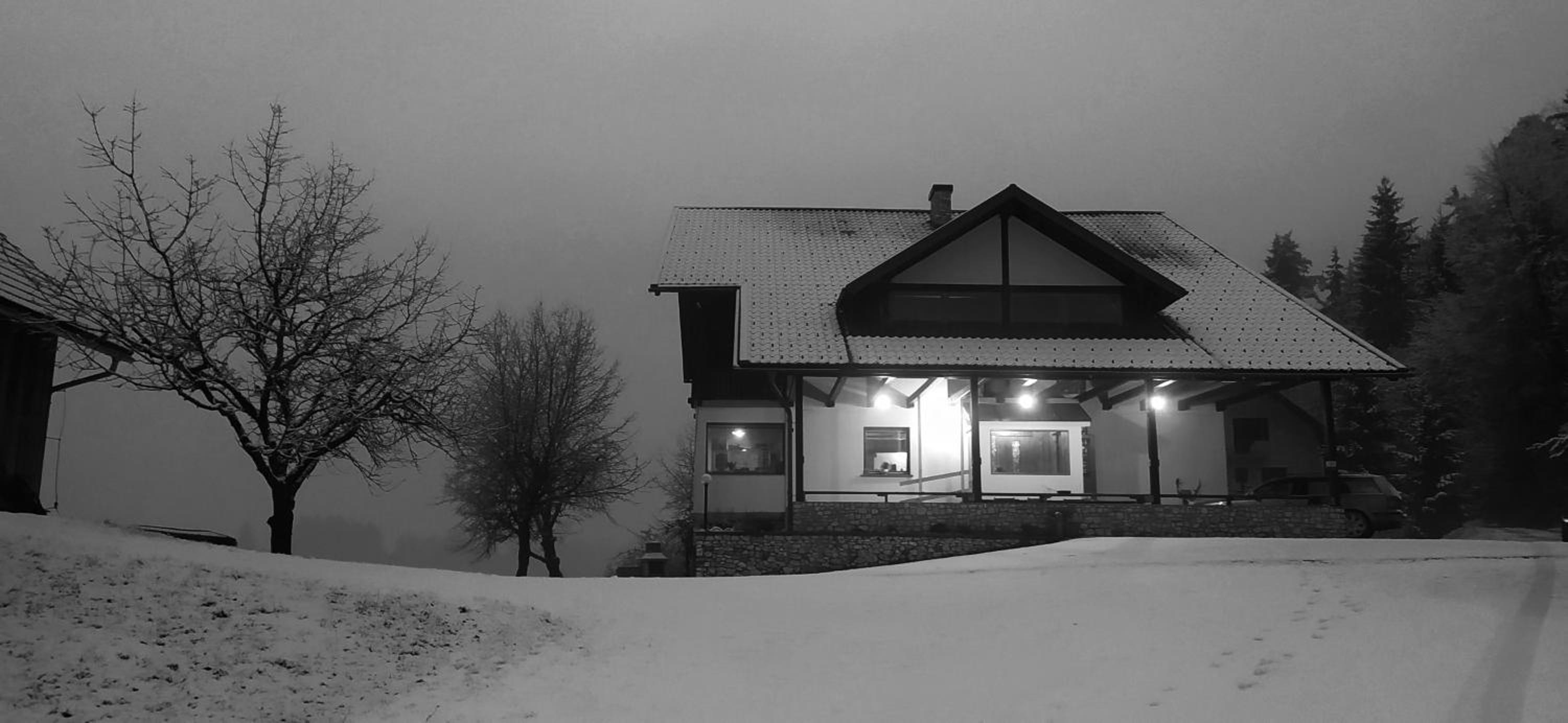 Photo 42