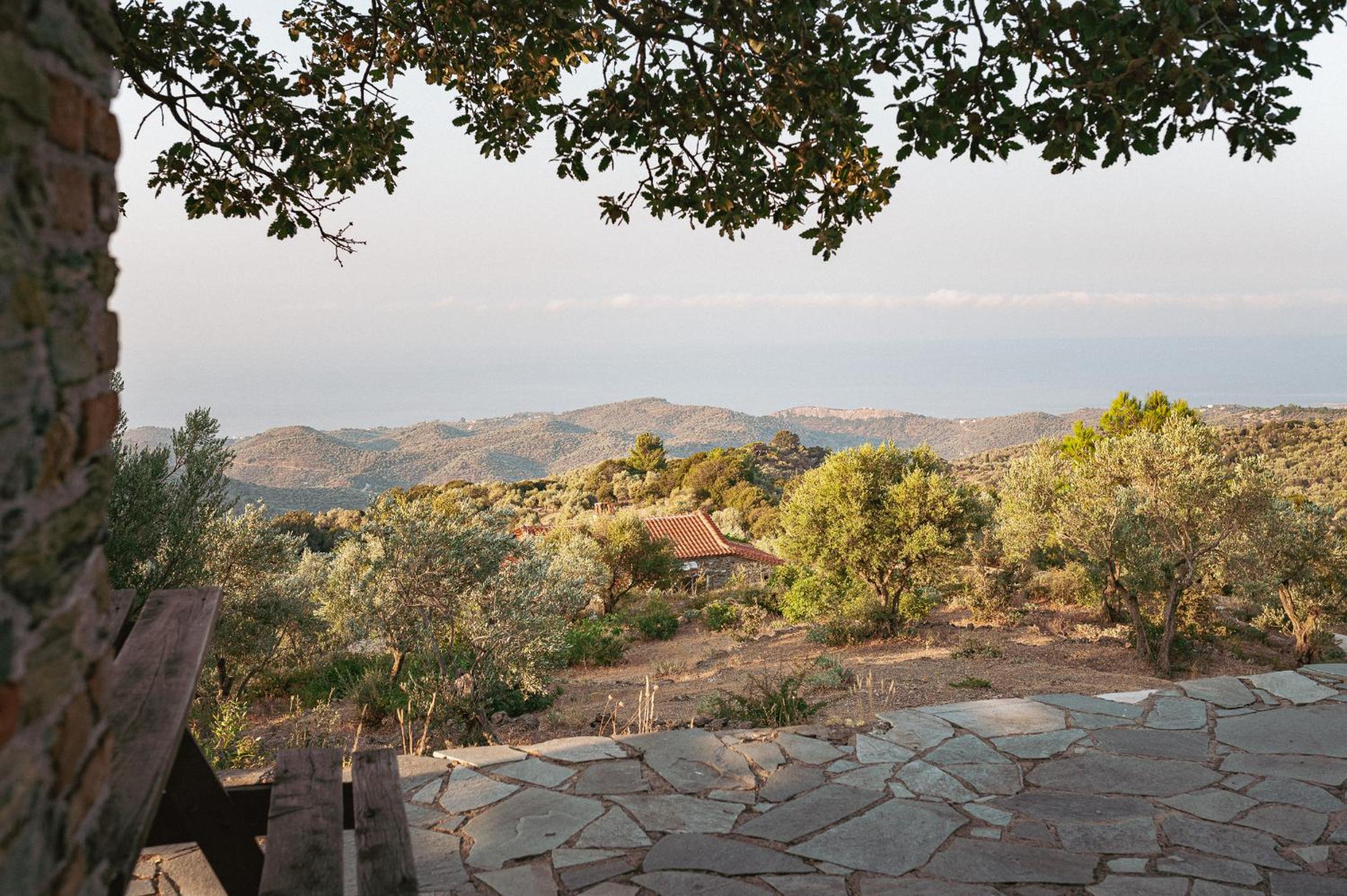 Toumba Eco Farm Guesthouses