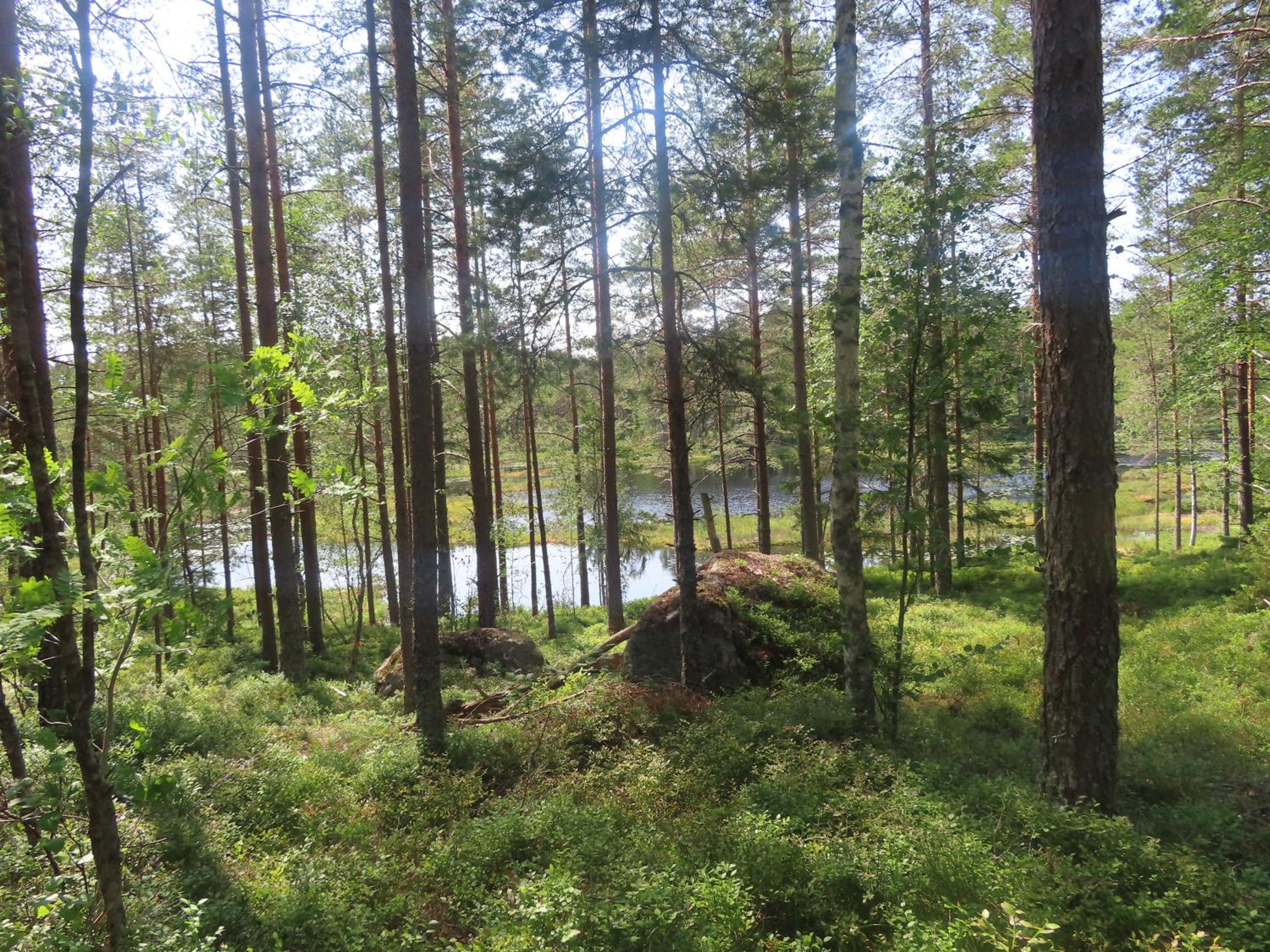 Photo 27