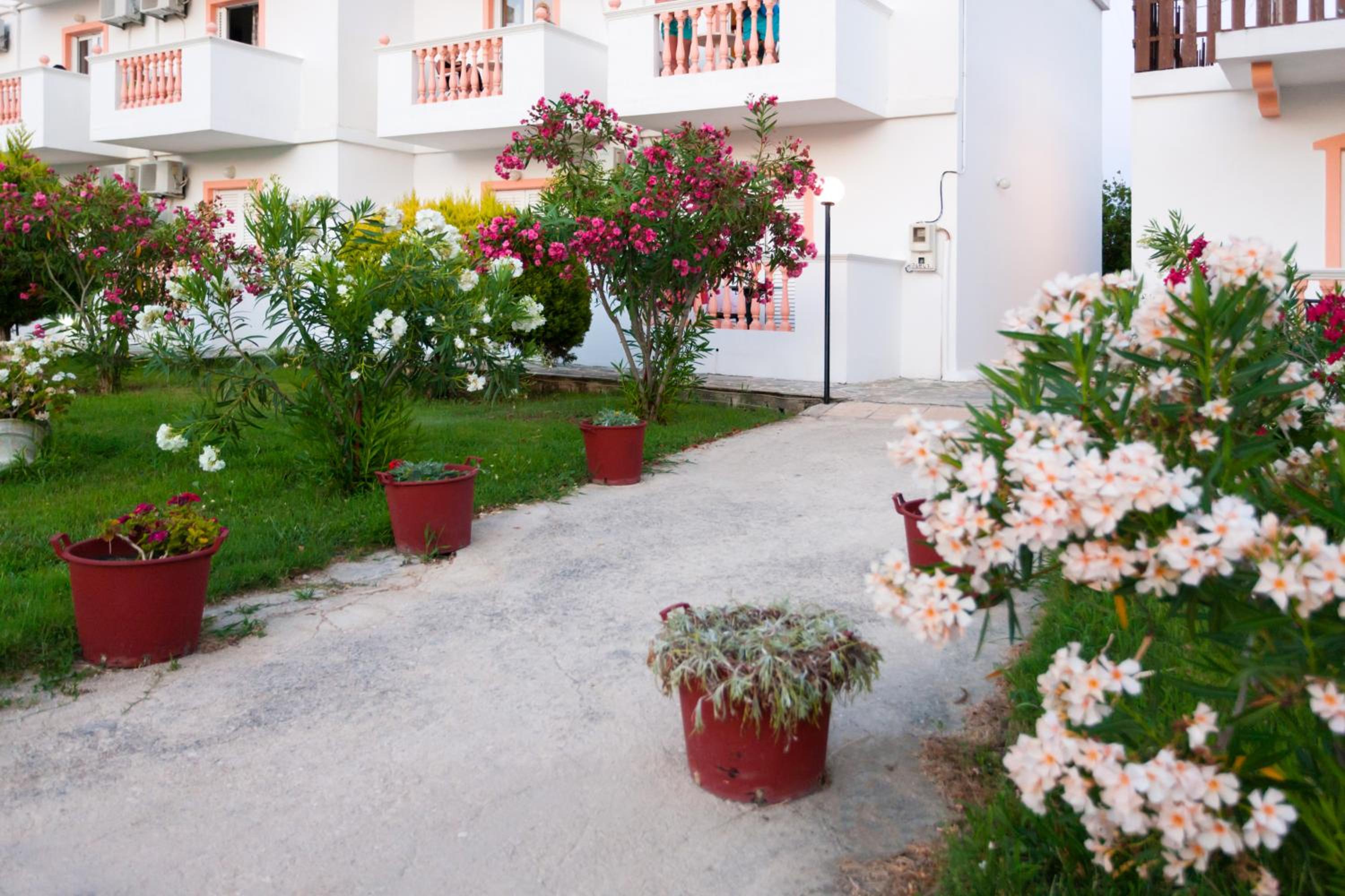 Akis Studios Alykes photo 3