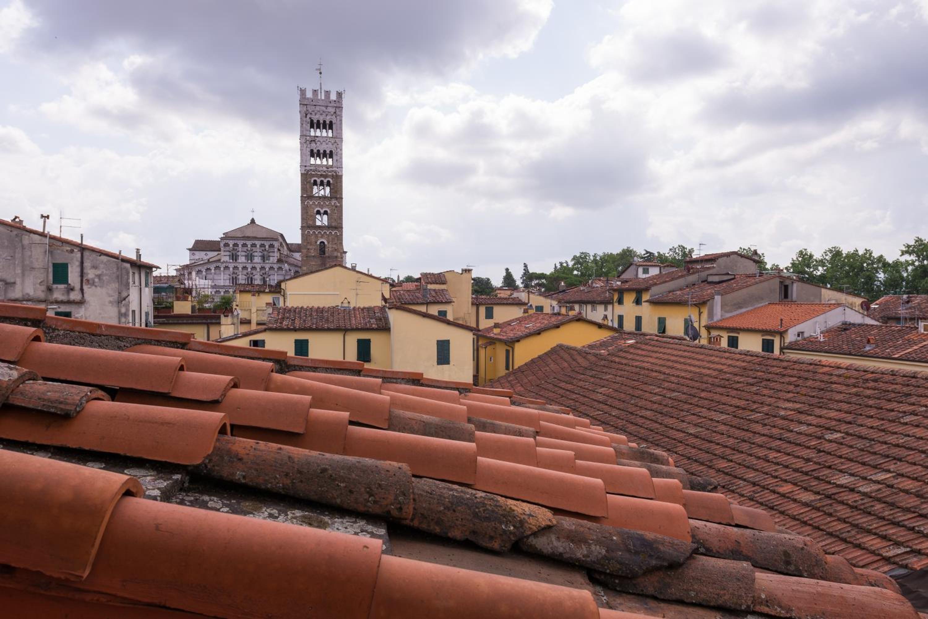 roof