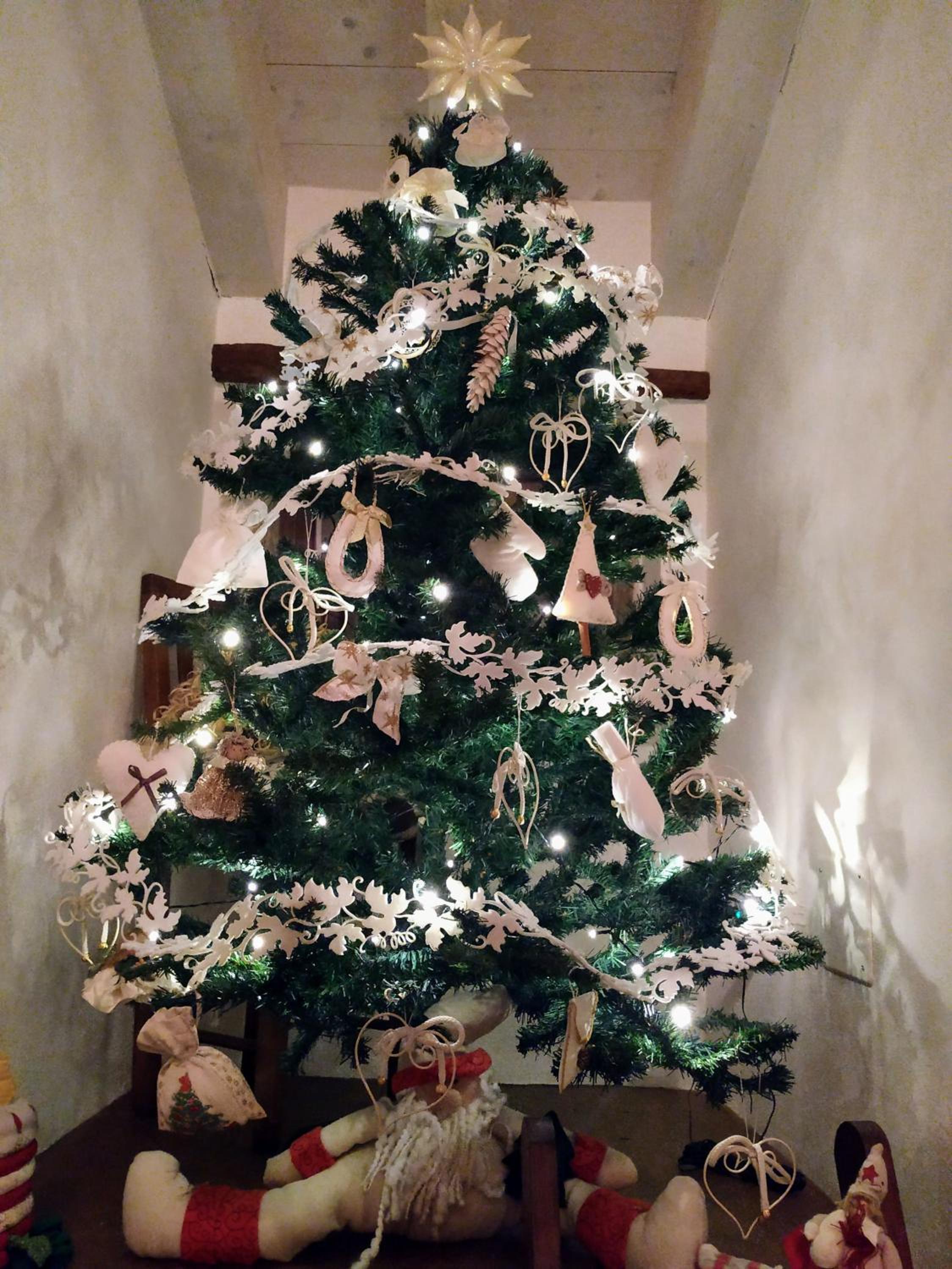 Dolci Vecchi Ricordi in Valpolicella