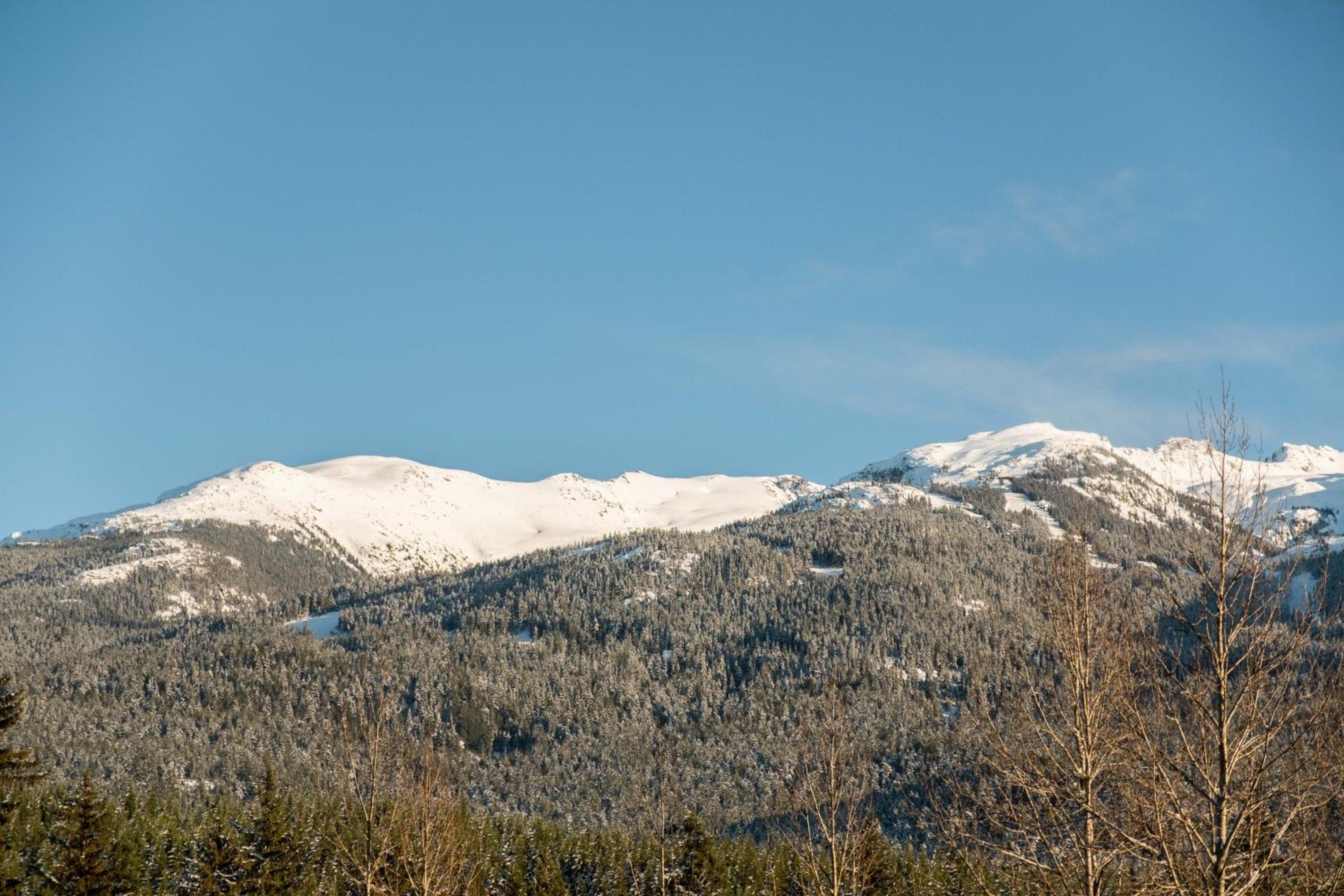 Fitzsimmons Walk 28 by Outpost Whistler
