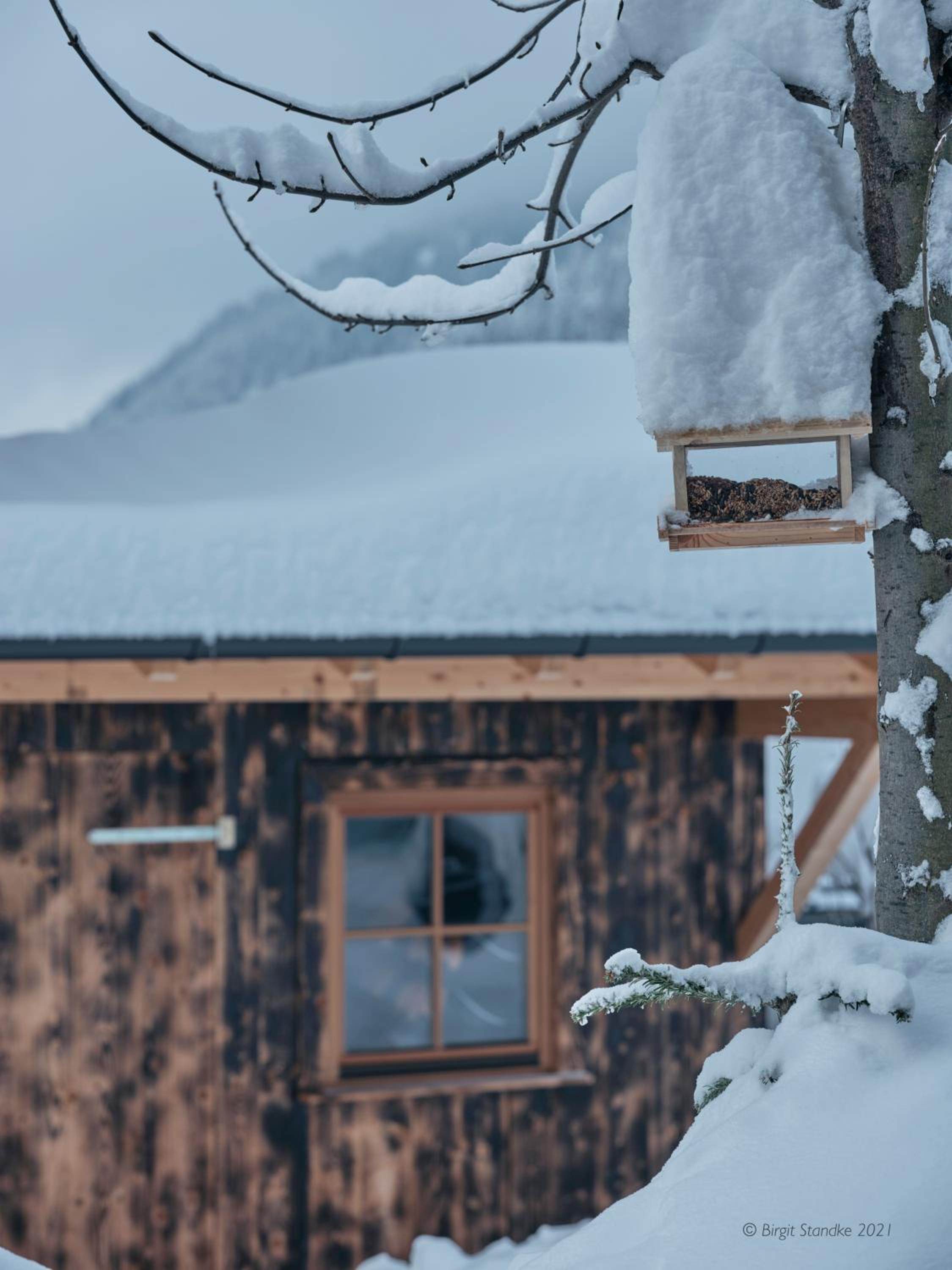 Haus Lorea Ehrwald view 4