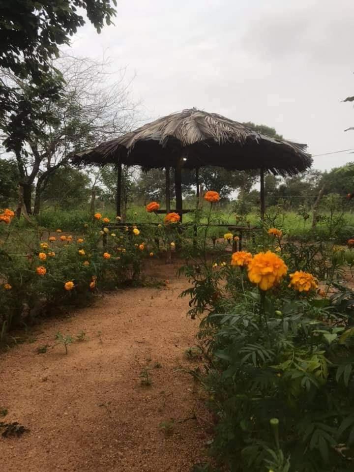 කැලෑව Jungle Eco Resort view 4