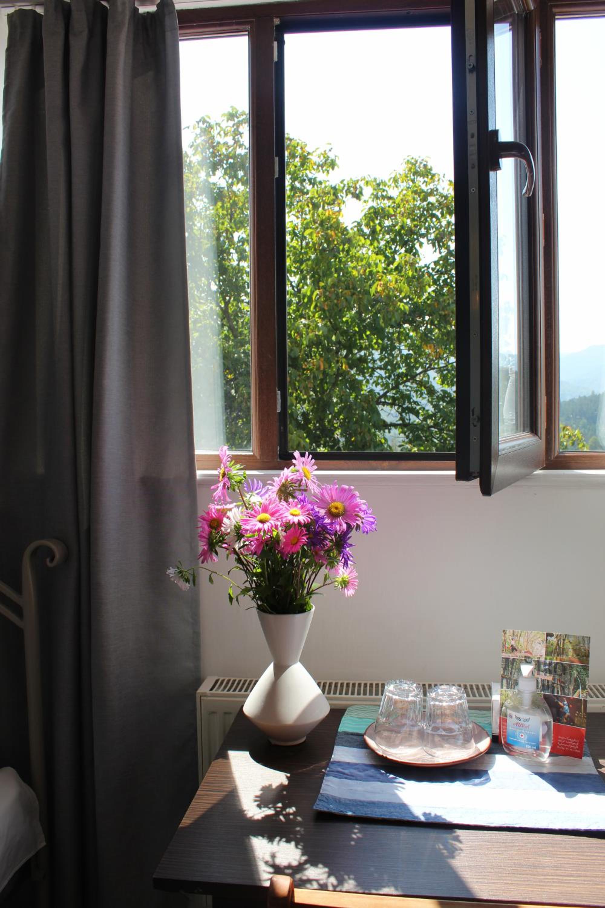 Toon Armeni Guest House
