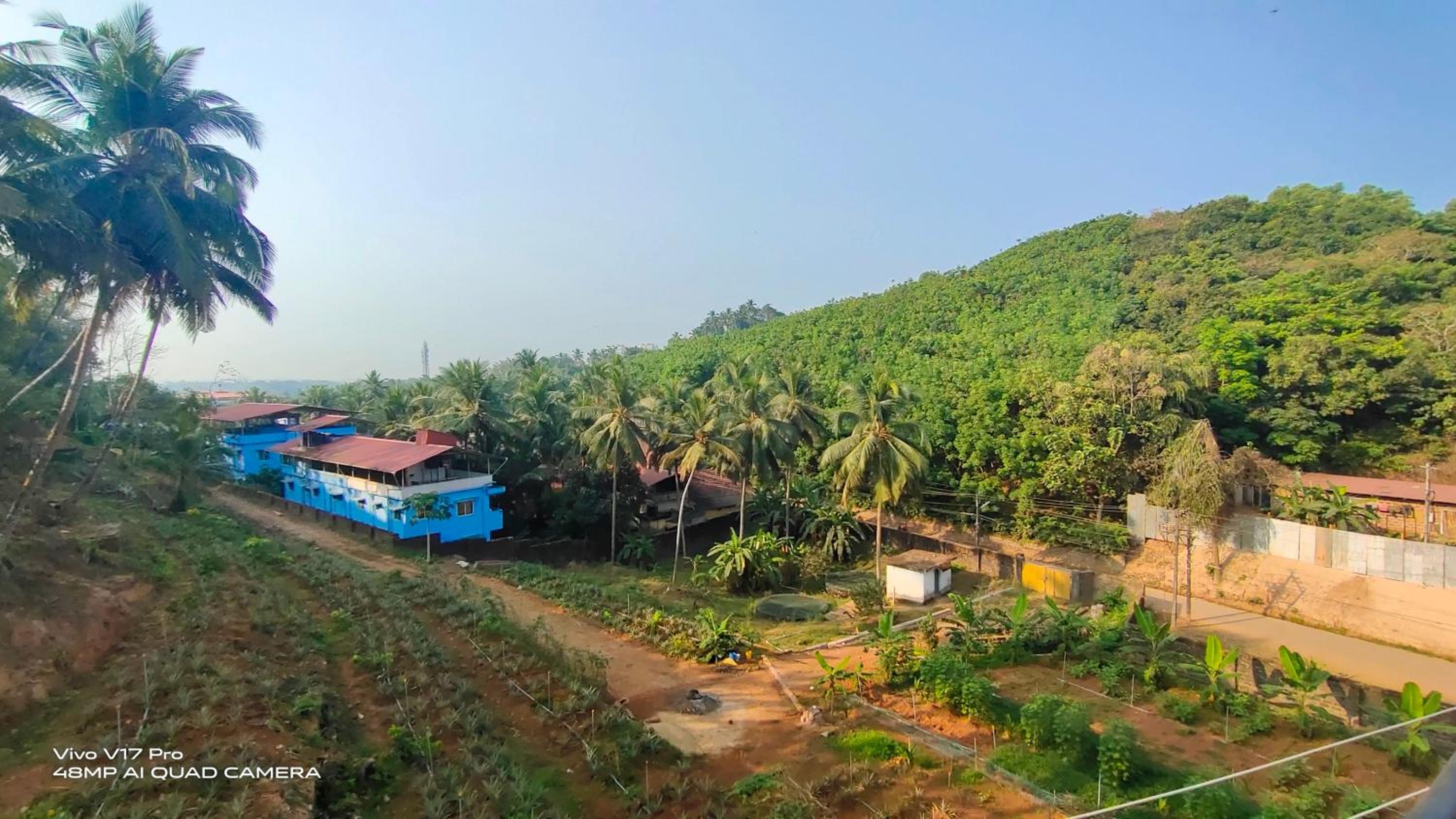 305 Home Stay, photo 16