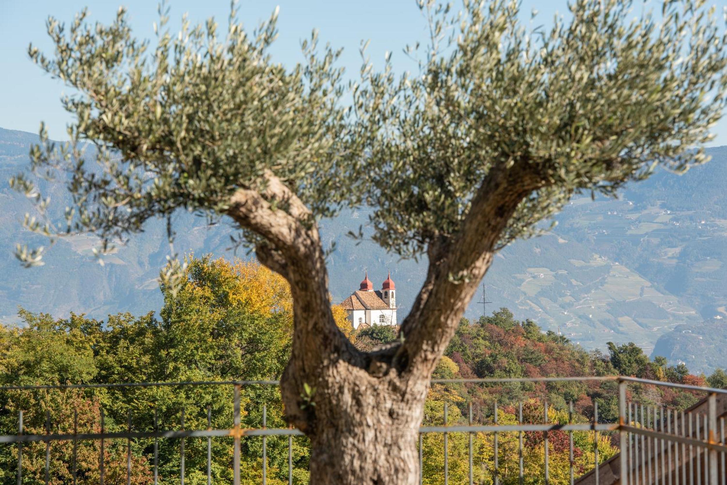 Nofnerhof