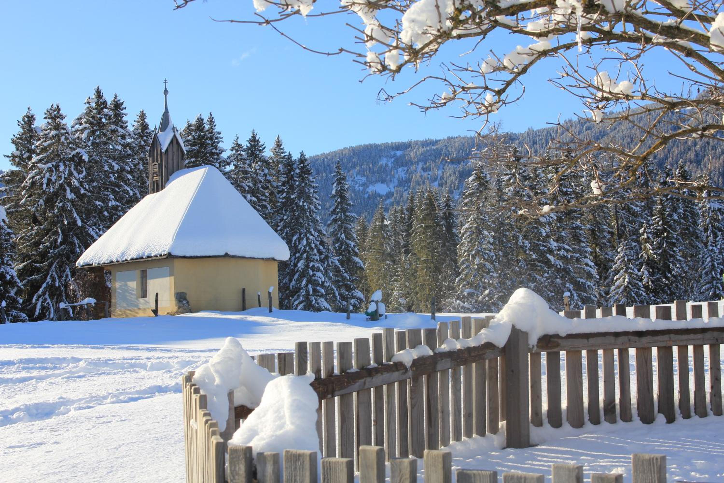 Urlaub am Bio-Bauernhof Liebchen