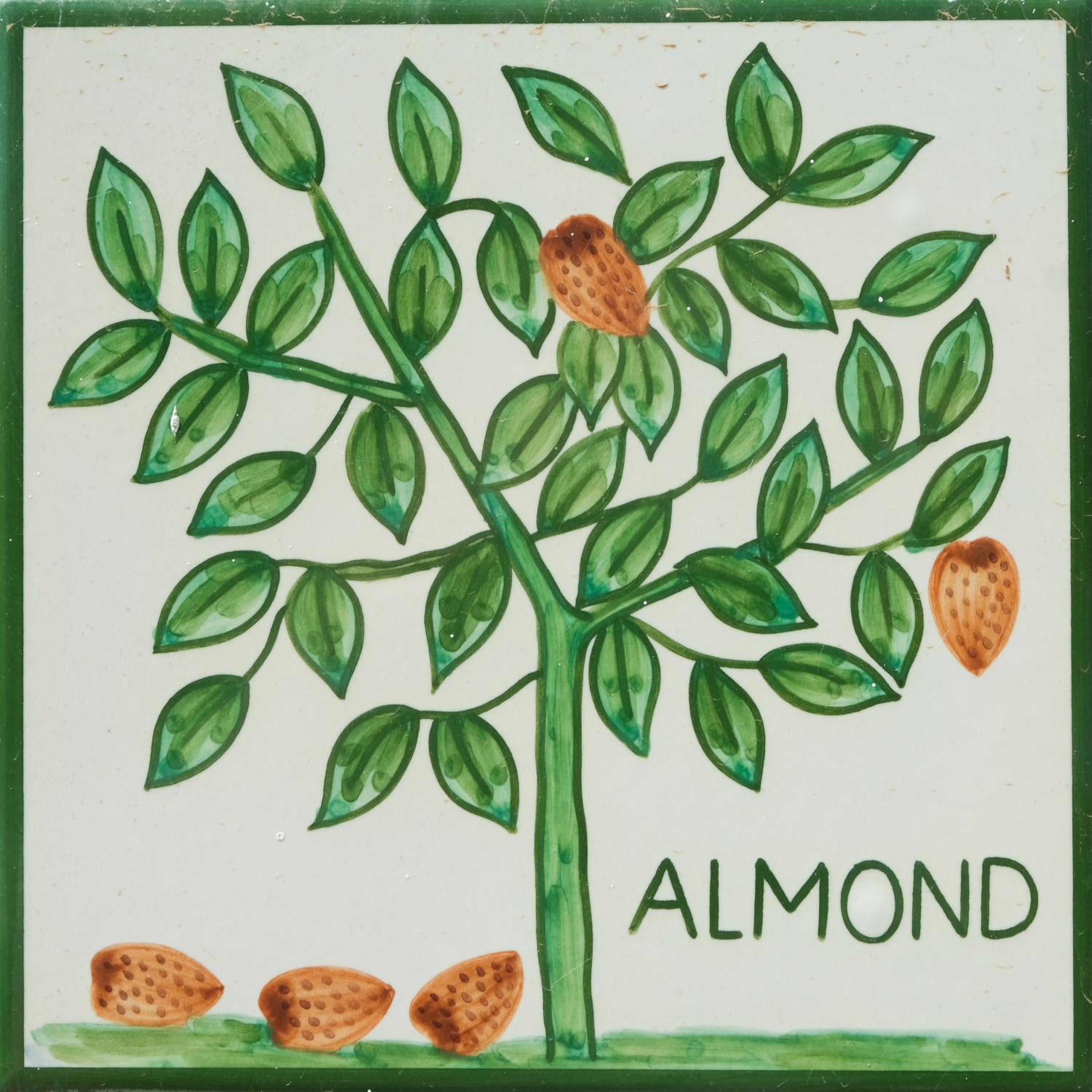 Hotel Casa Monte Cristo Apartments - Almond - Image 1