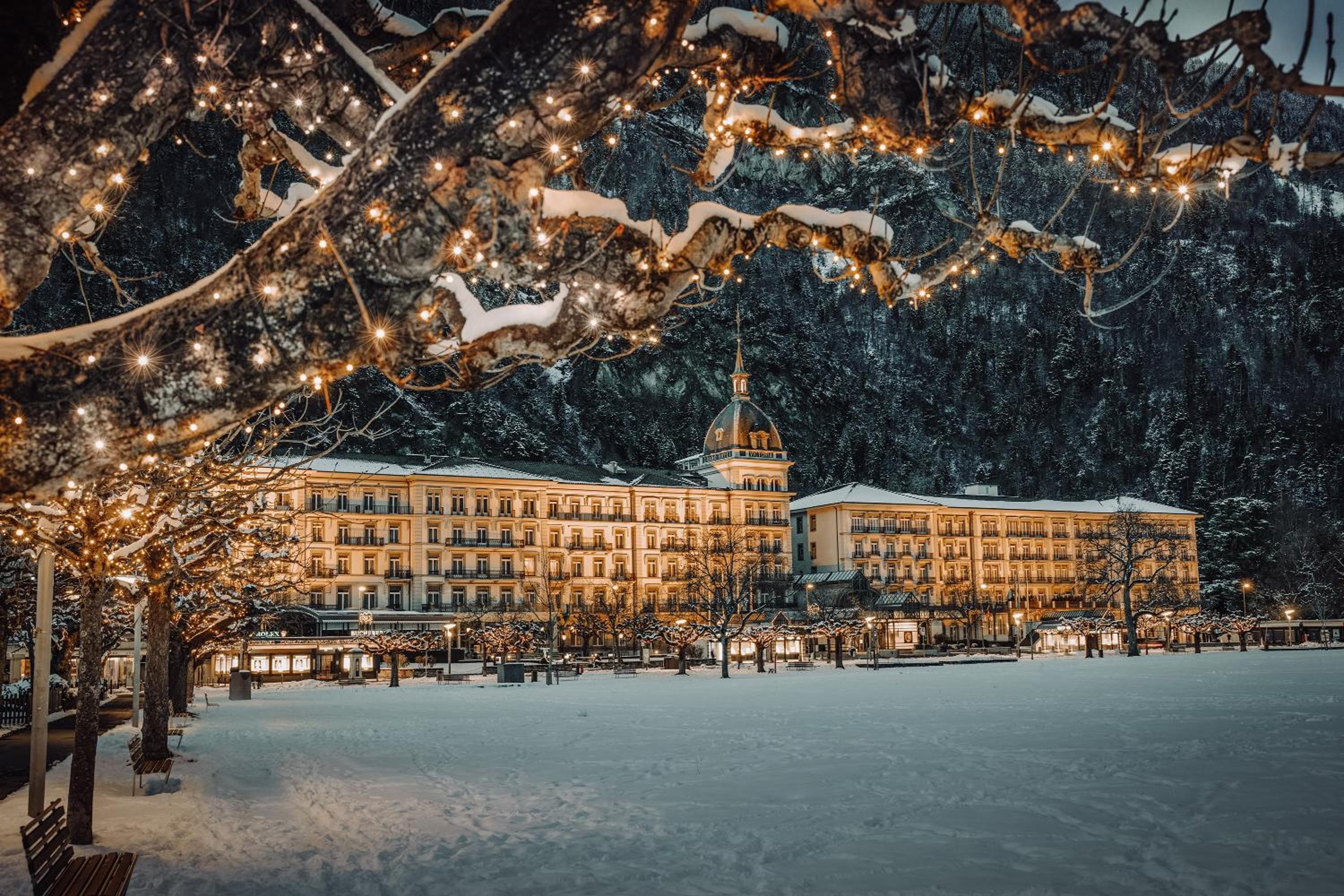Interlaken Vacations - Victoria Jungfrau Grand Hotel  Spa - Property Image 1