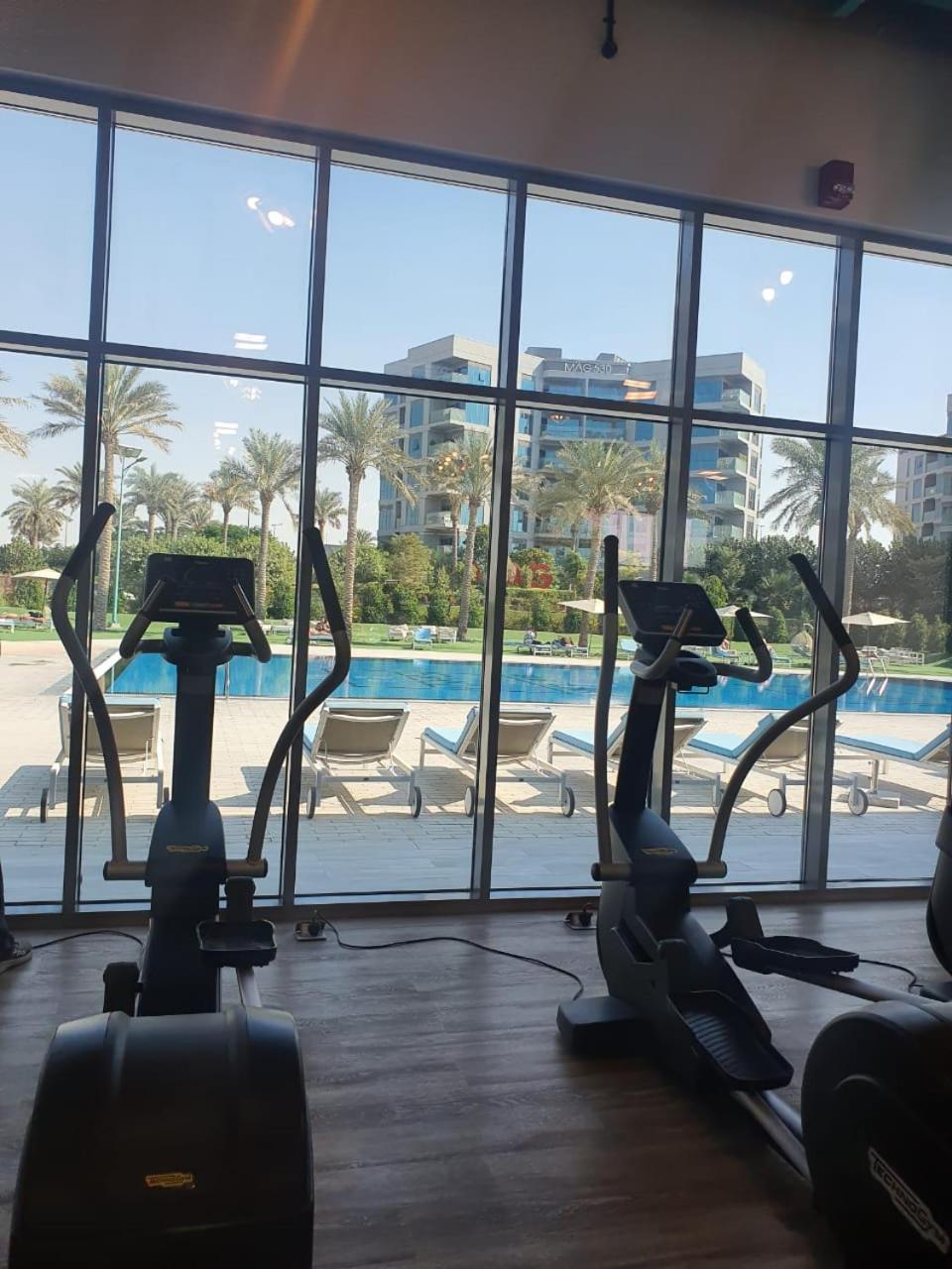 Cozy 1-bedroom apartment in Dubai South with Pool