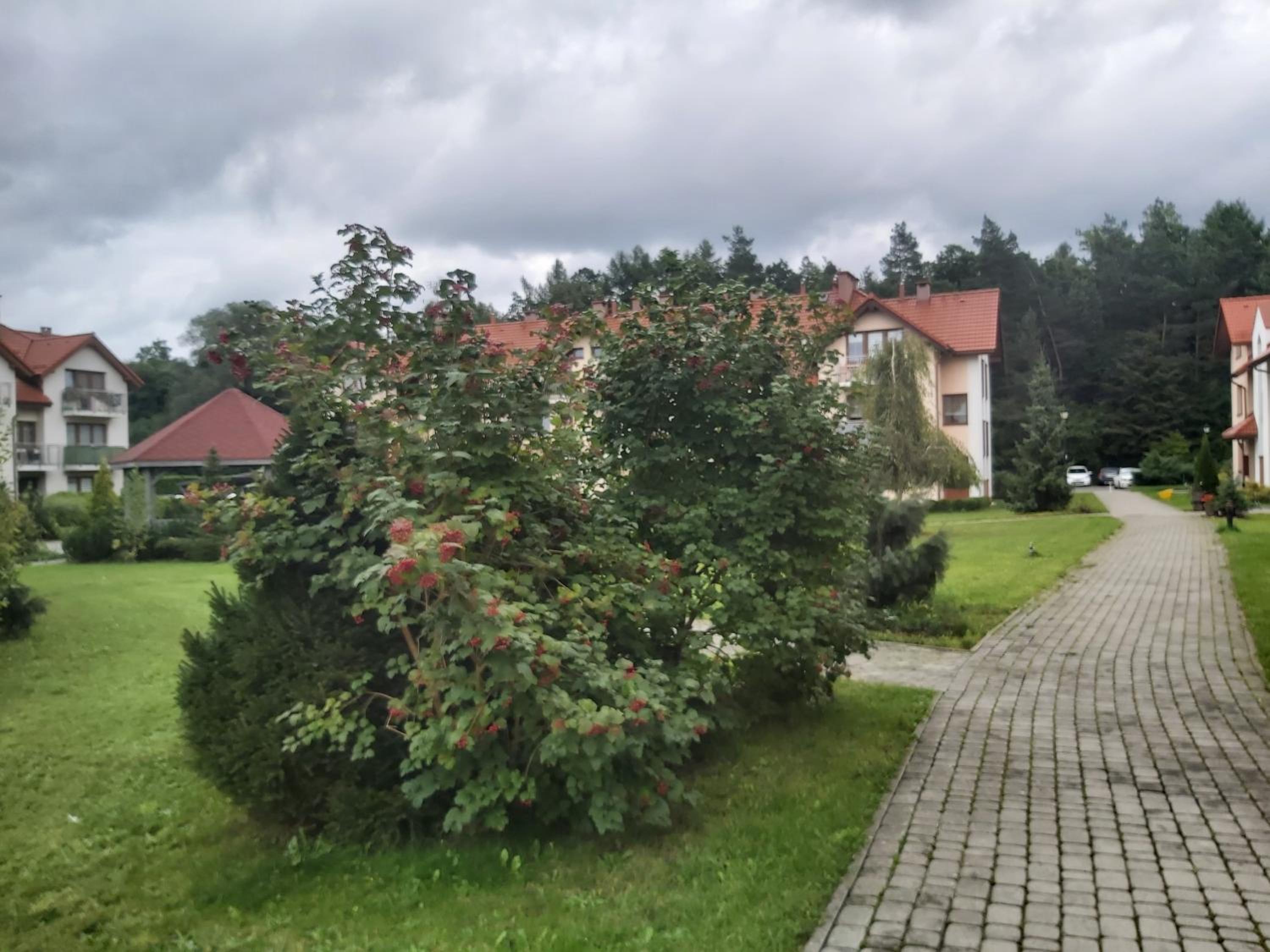 Mieszkanie z ogródkiem w Ustroniu view 3